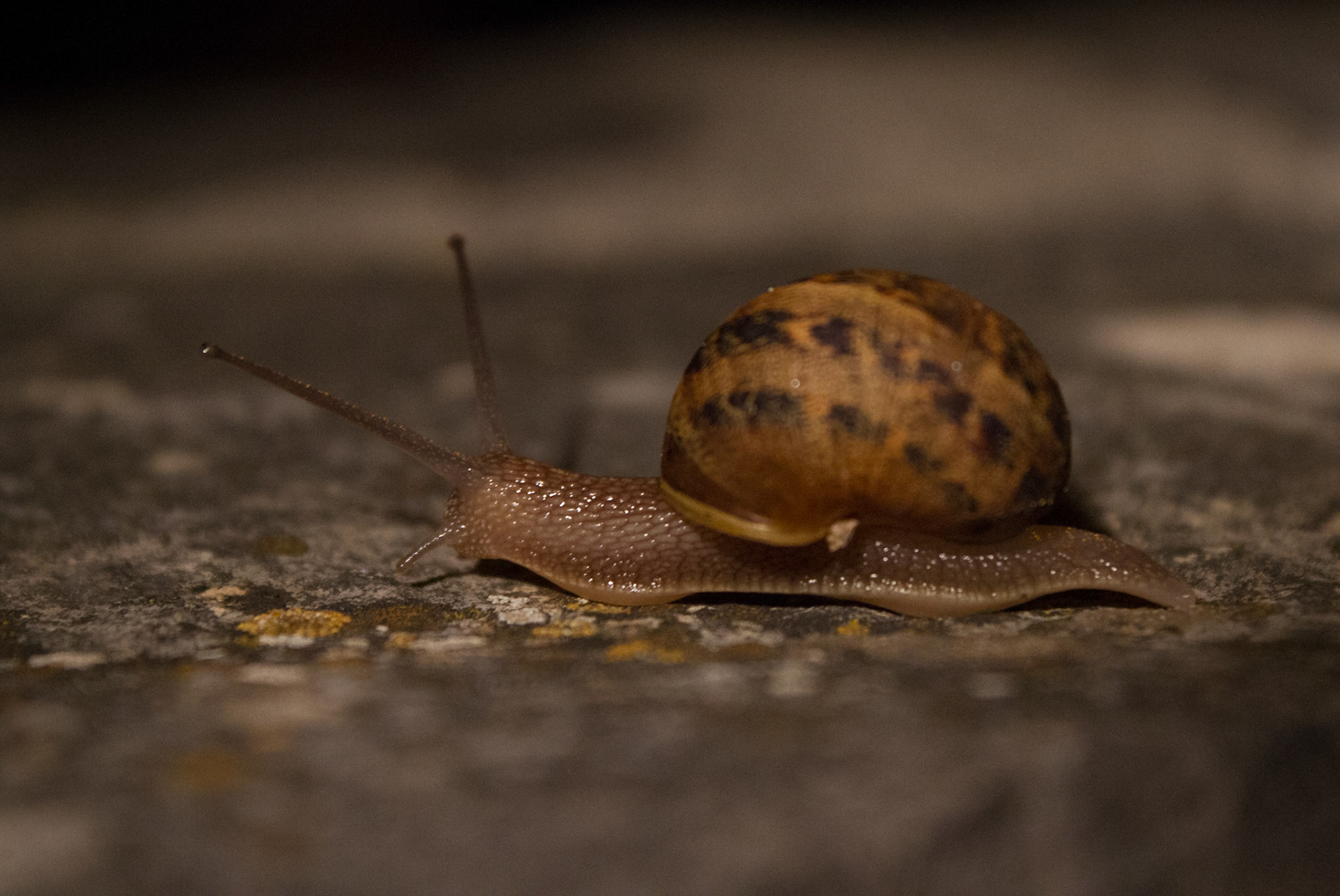 Urlaub Pfingsten 2013: Istrien