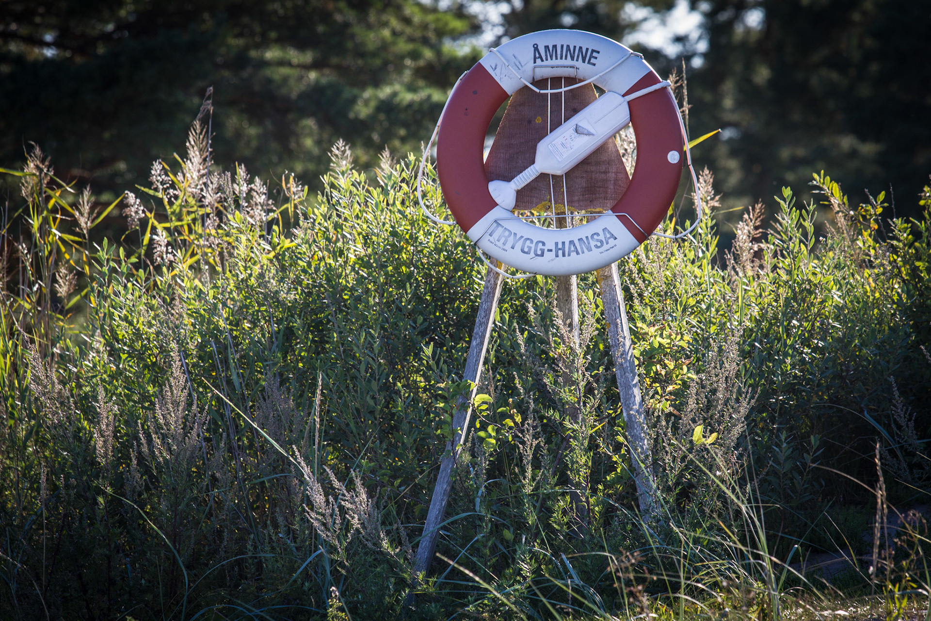 Åminne Fritid - Gotland