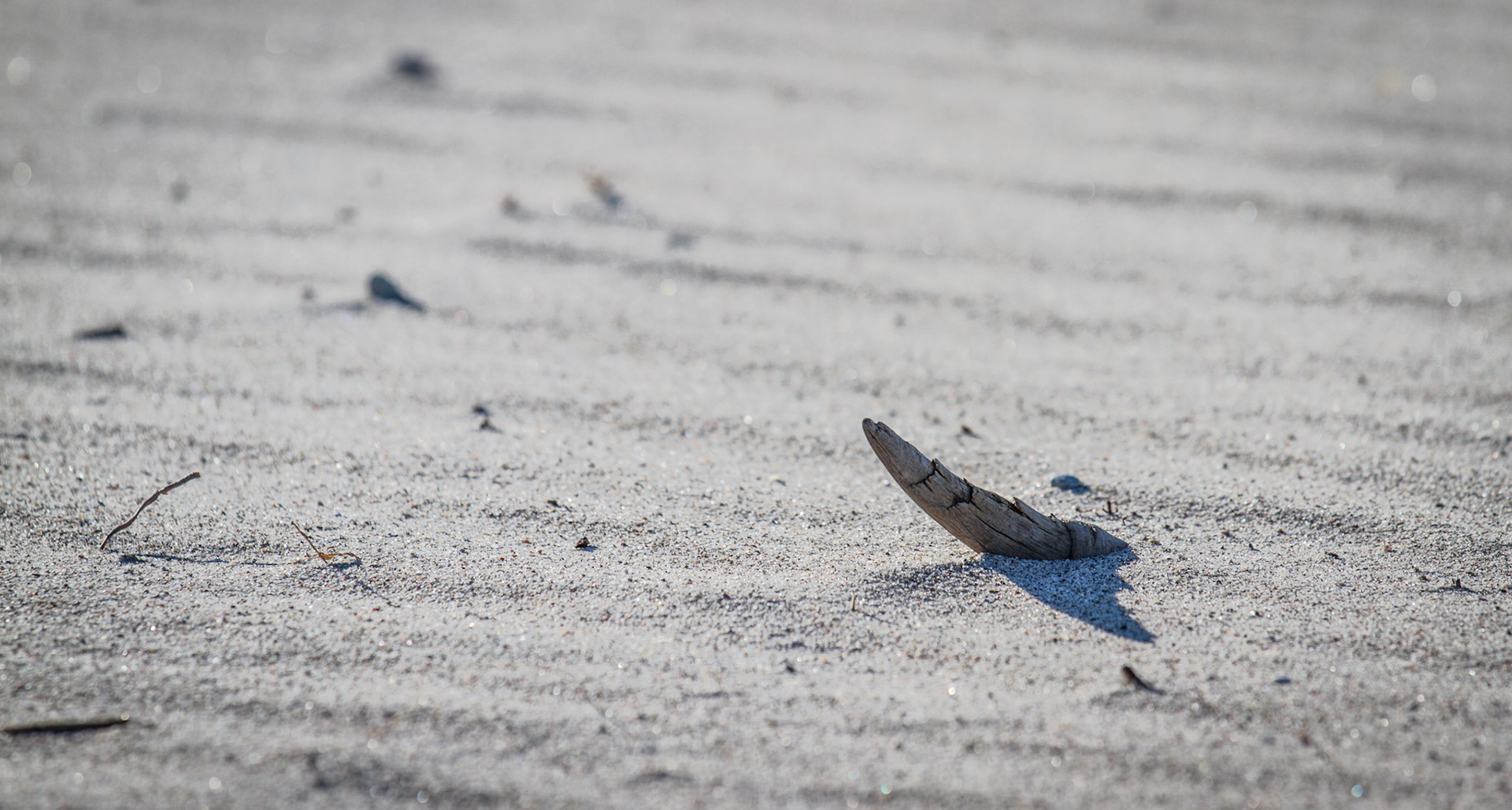 Åminne Fritid - Gotland