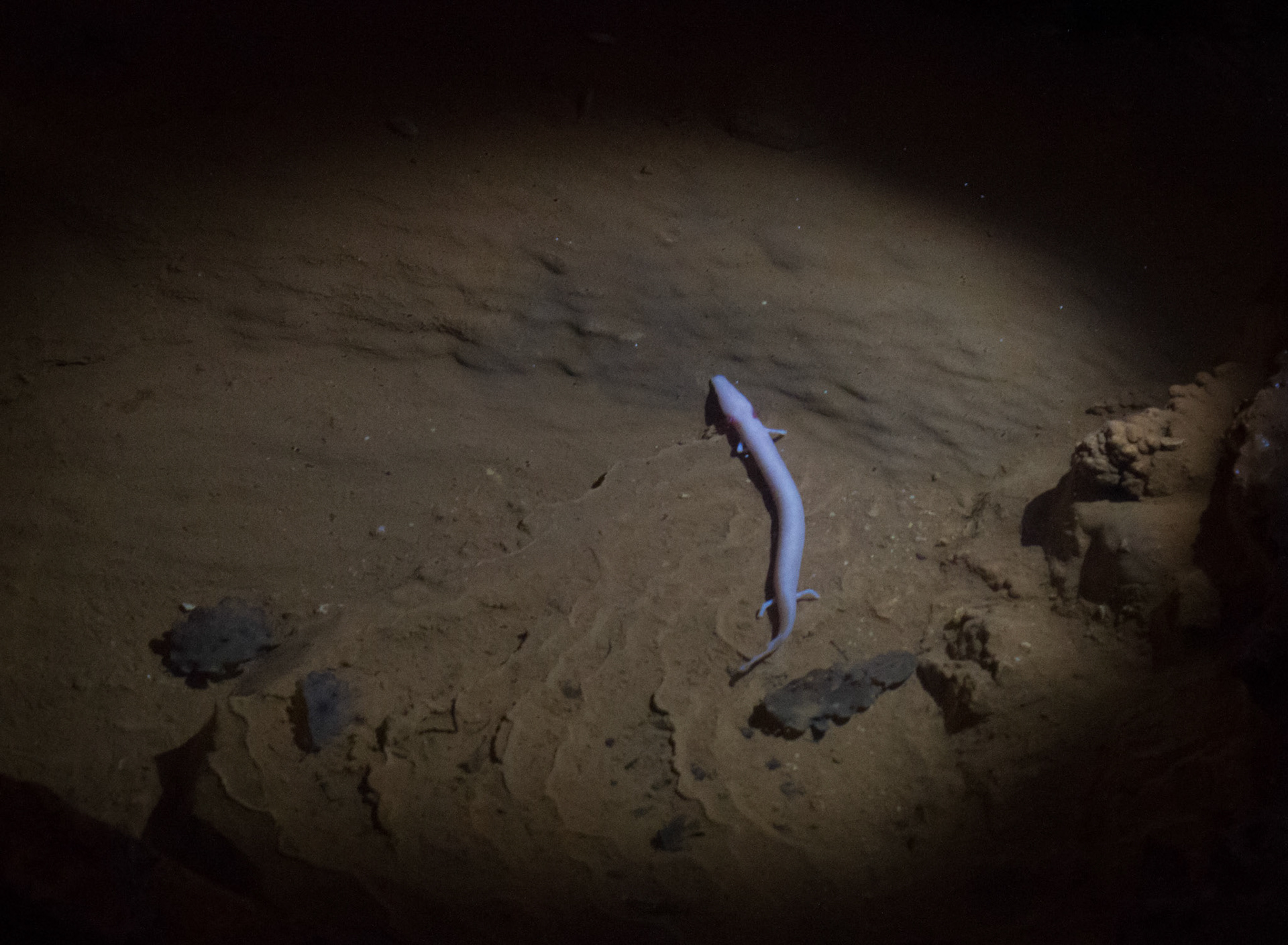 Urlaub Pfingsten 2013: Istrien