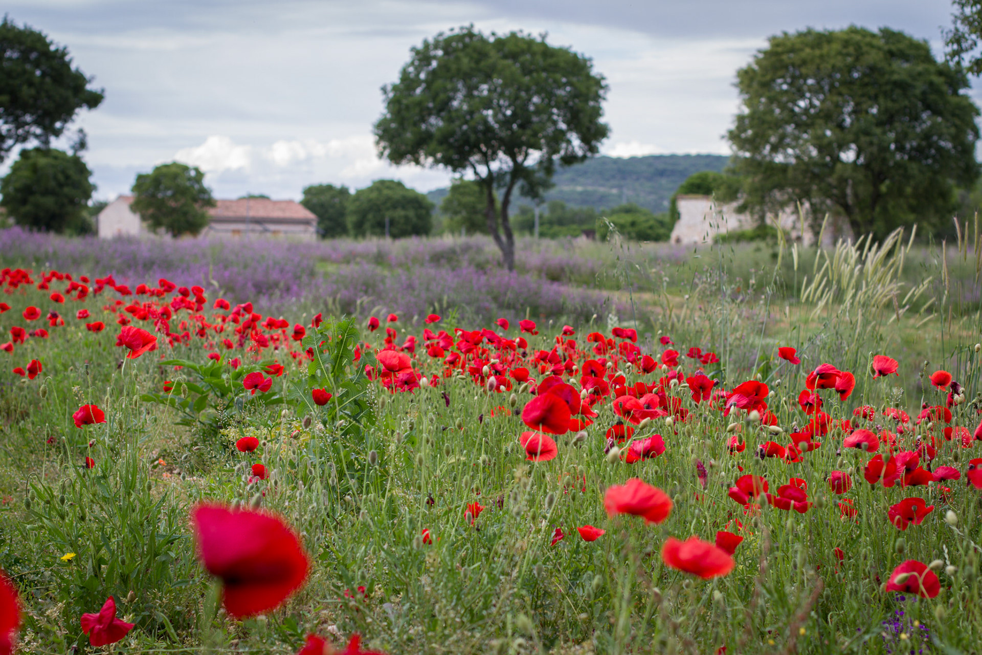 Urlaub Pfingsten 2013: Istrien