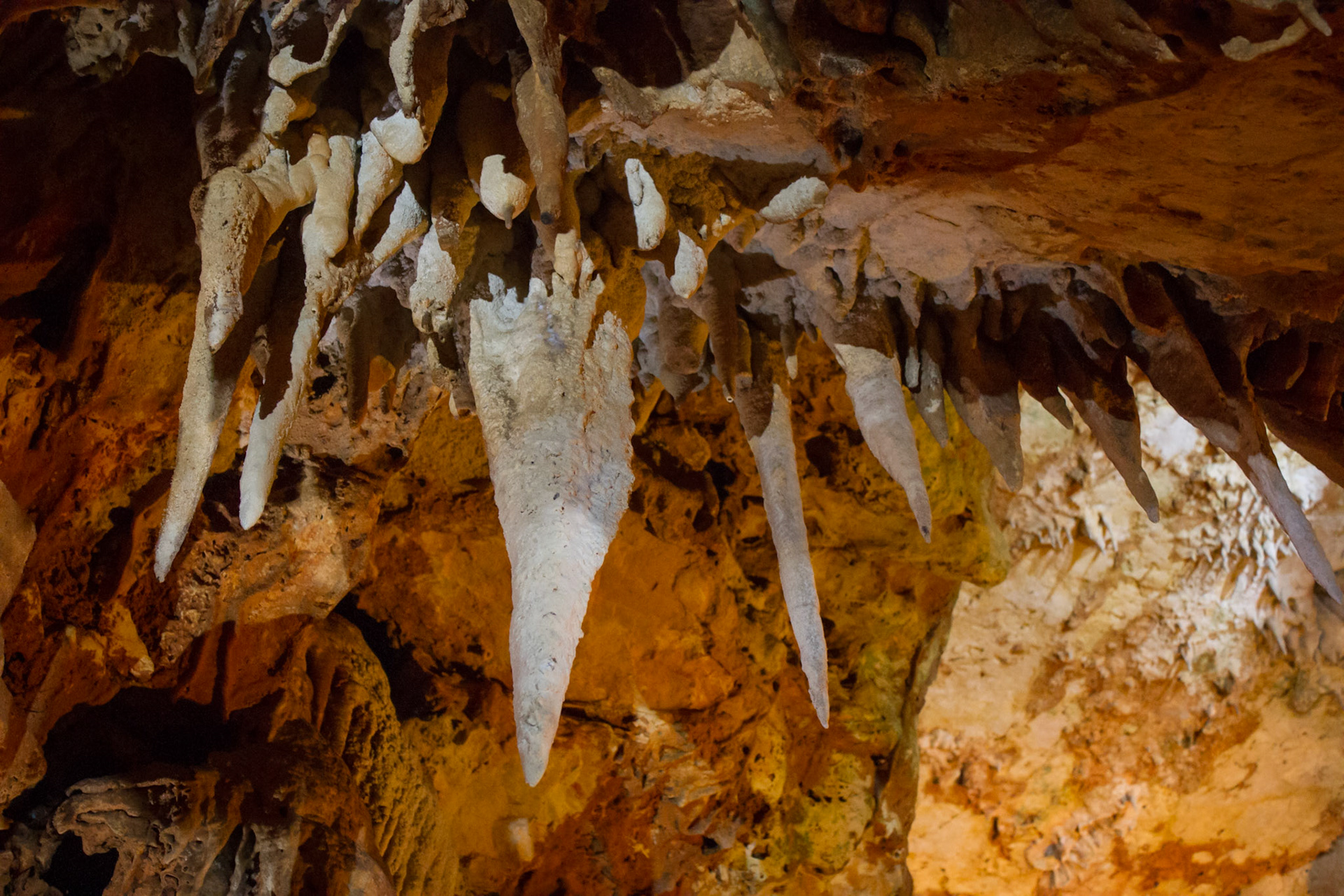 Urlaub Pfingsten 2013: Istrien