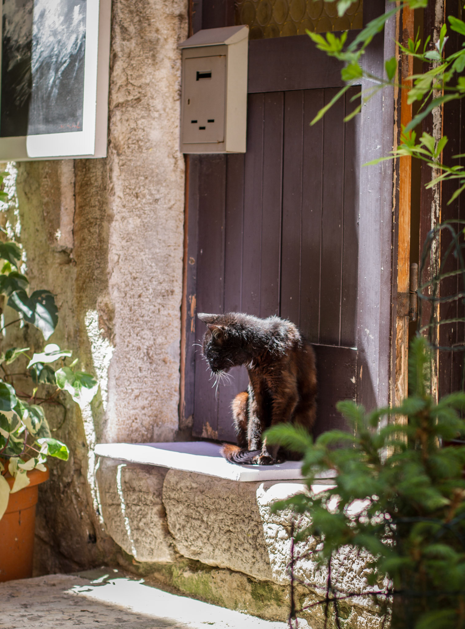 Urlaub Pfingsten 2013: Istrien