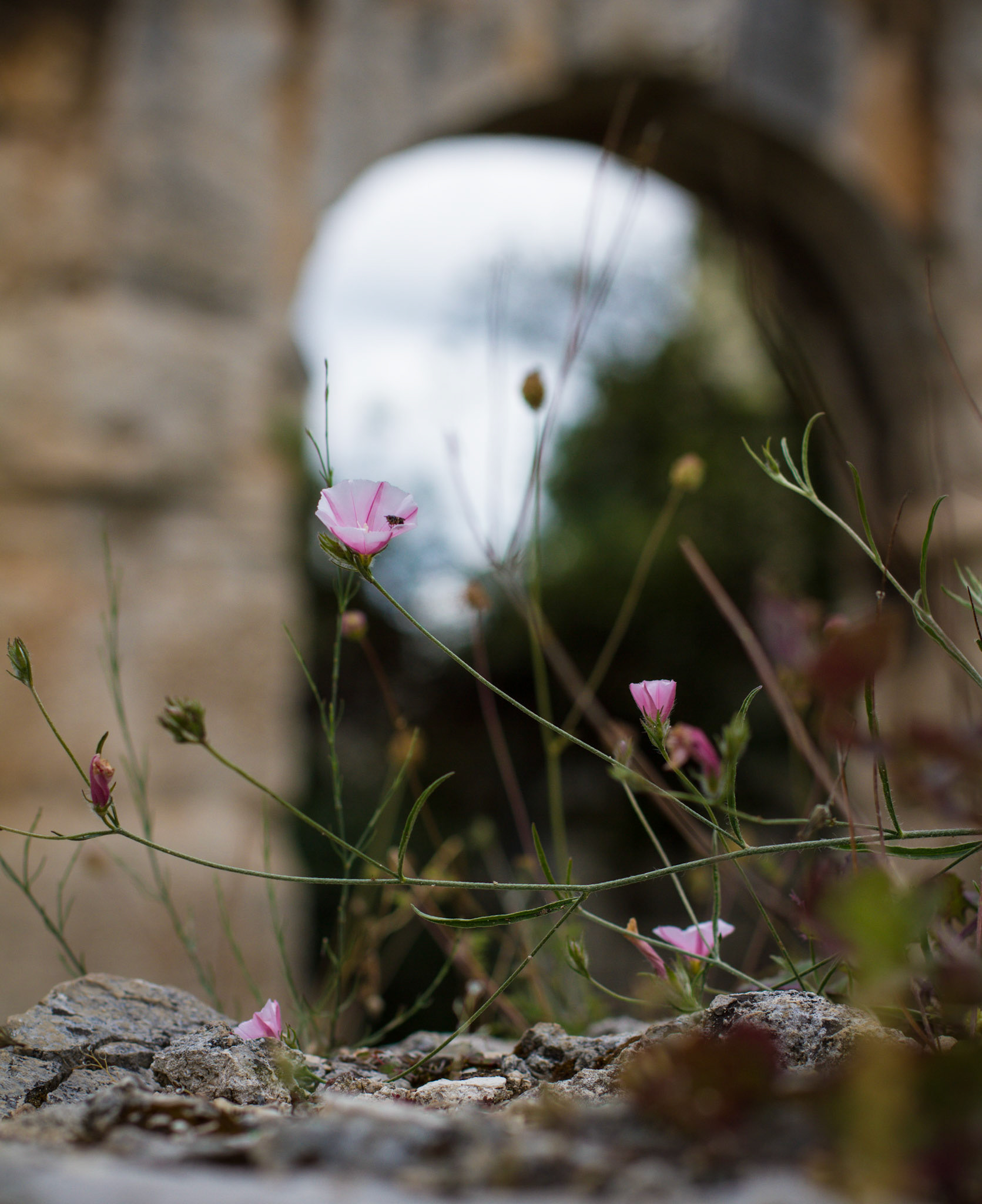 Urlaub Pfingsten 2013: Istrien