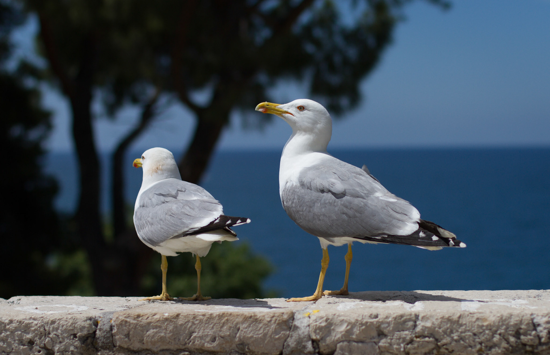 Urlaub Pfingsten 2013: Istrien