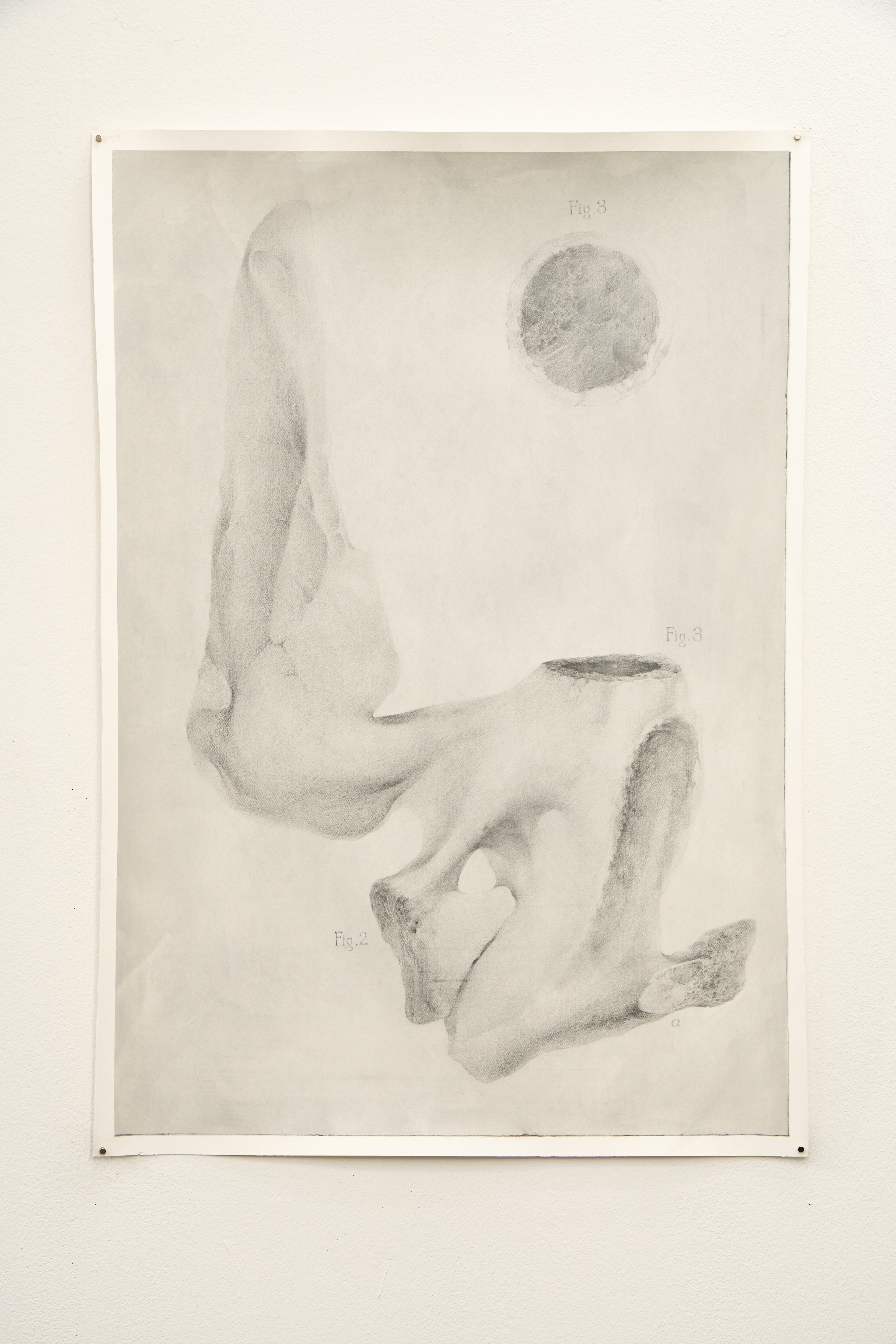 Under the dead volcano, 2024, 100x70cm, acrylic, graphite on paper