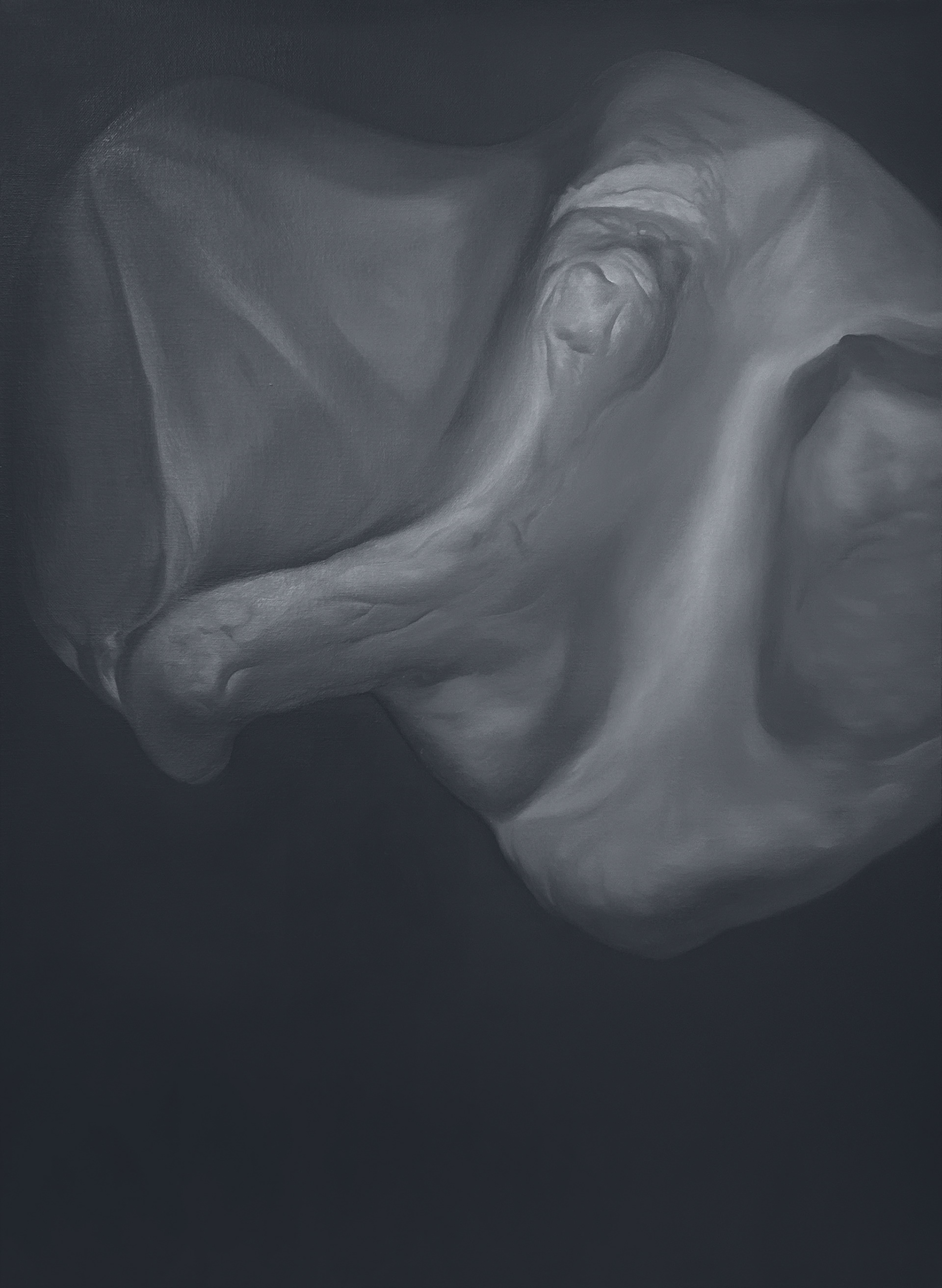 Bone 17, 72.7x53.0cm, oil on canvas, 2024