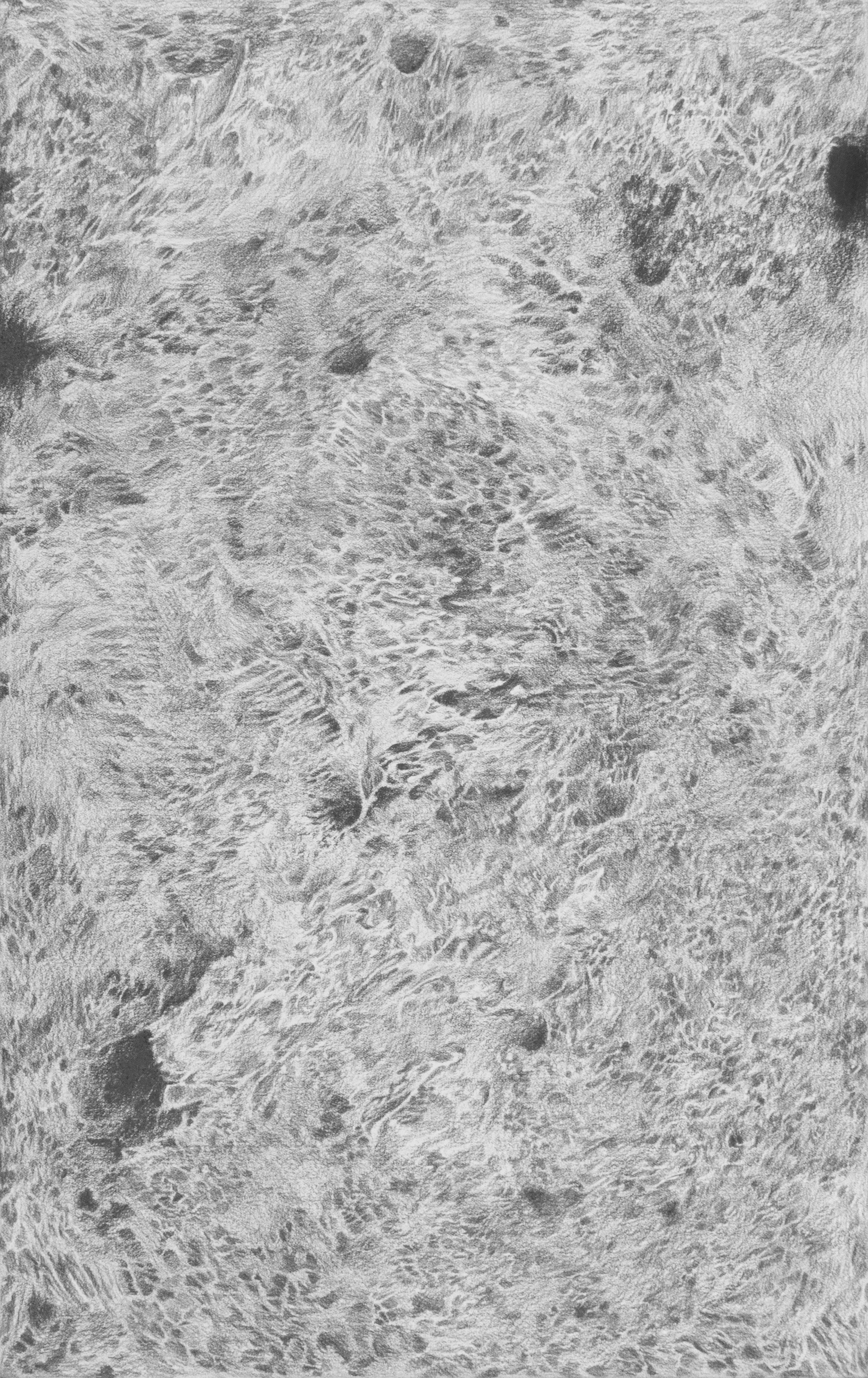 Surface 1, 53.0x33.4cm, graphite on paper, 2022