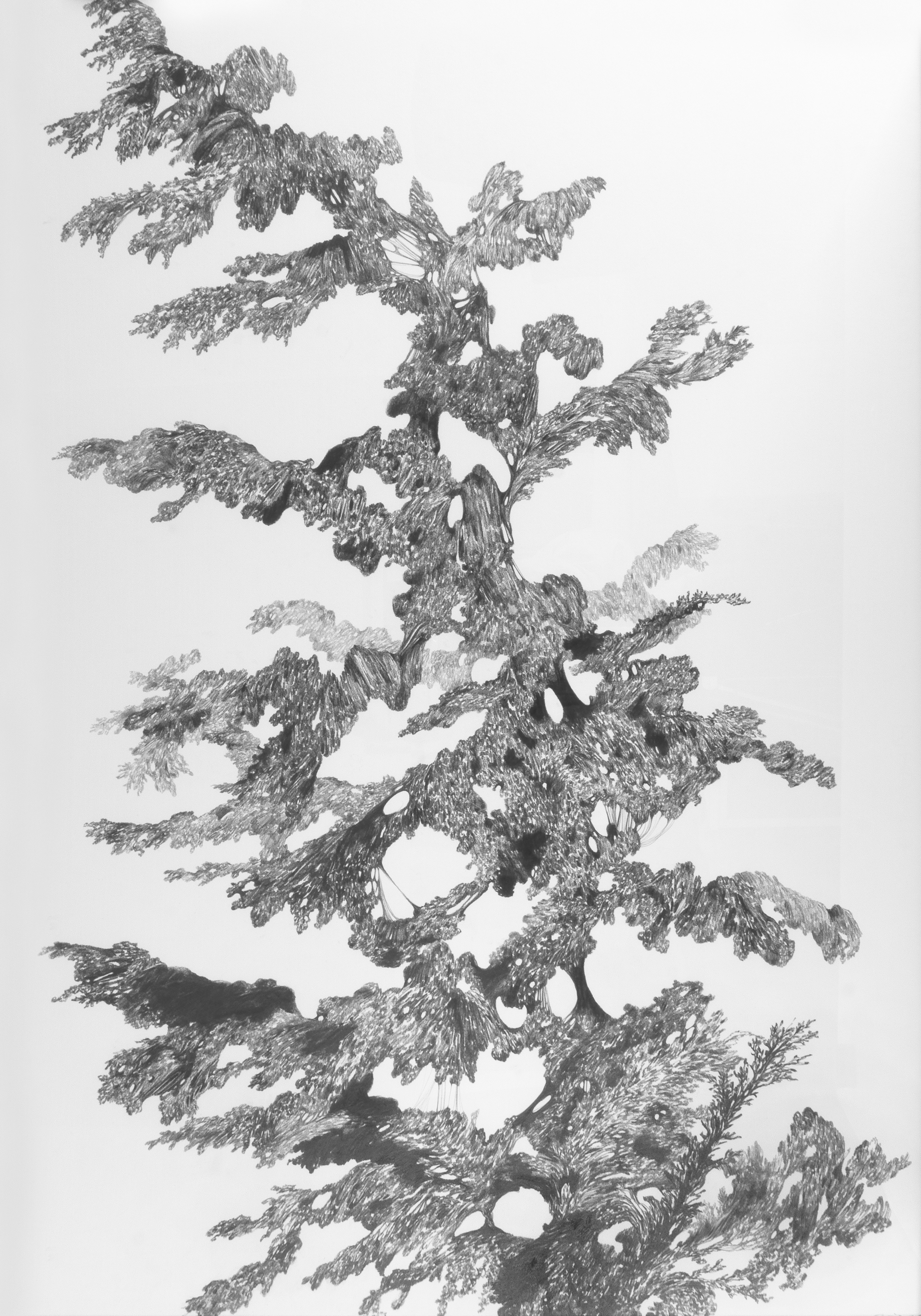 정착하기 1, 100.0x70.0cm, graphite on paper, 2022
