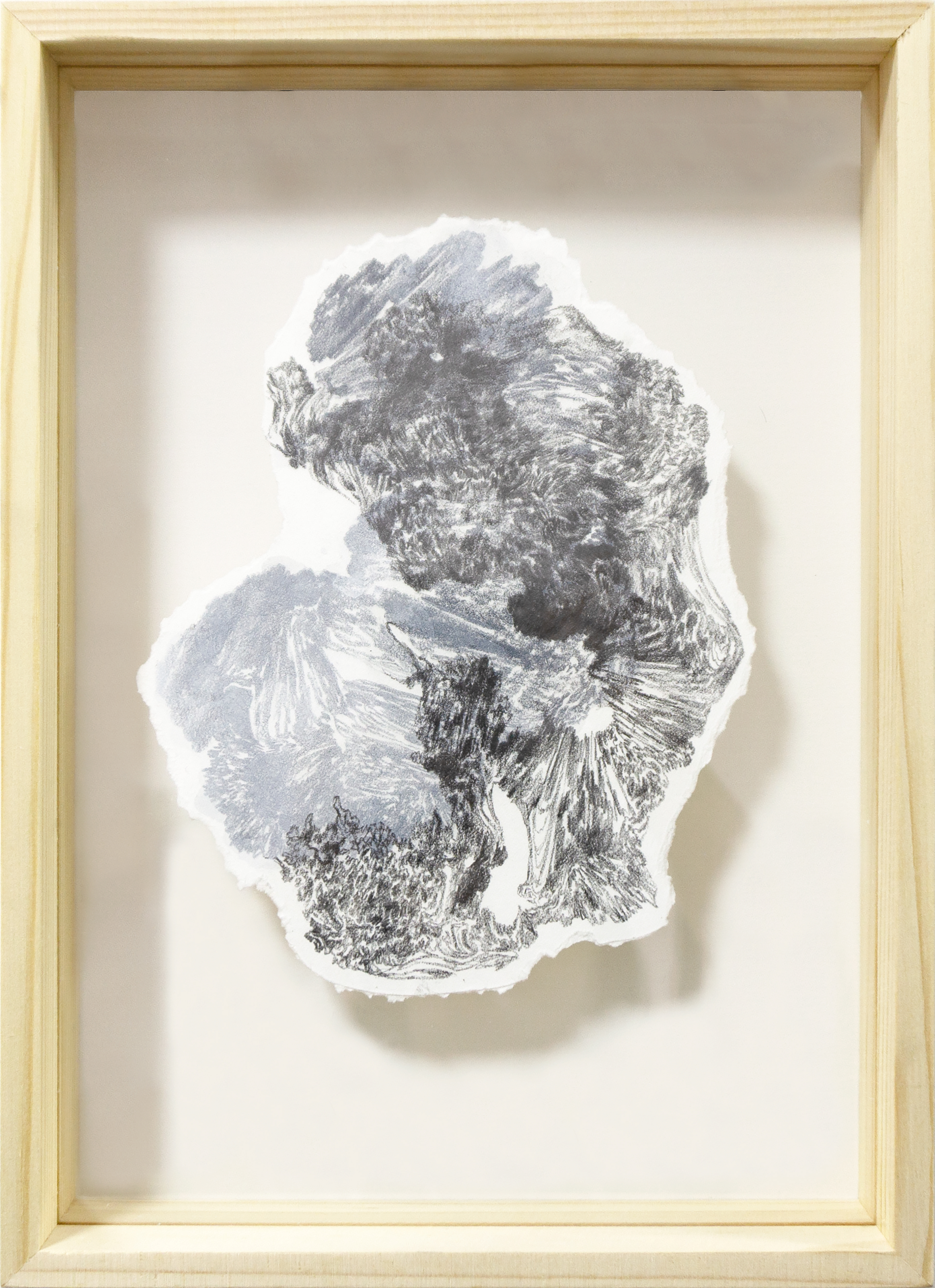 잡아뜯긴 껍질과 그림자, 31.5x22cm, acrylic, graphite on paper, pressed frame, 2020
