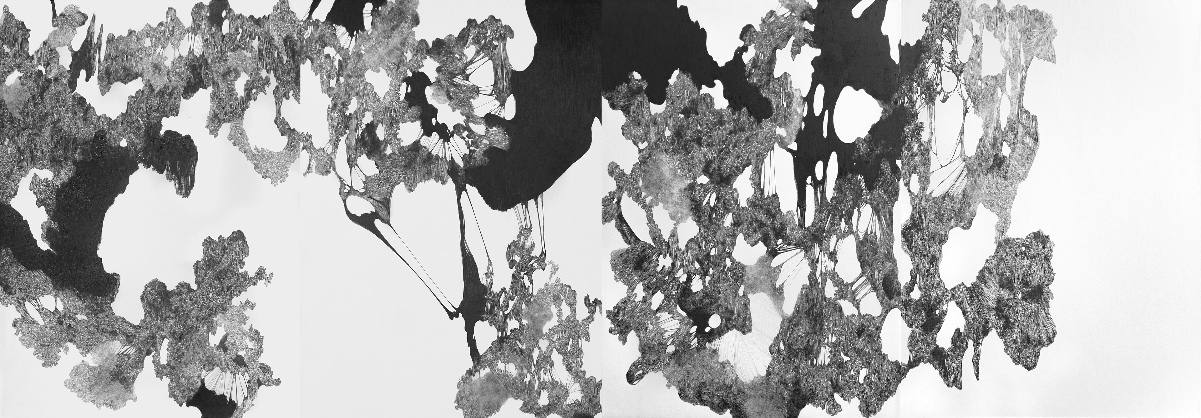 증식 ver.2.1, graphtie on paper, 90.0x260.4cm, 2020-2021