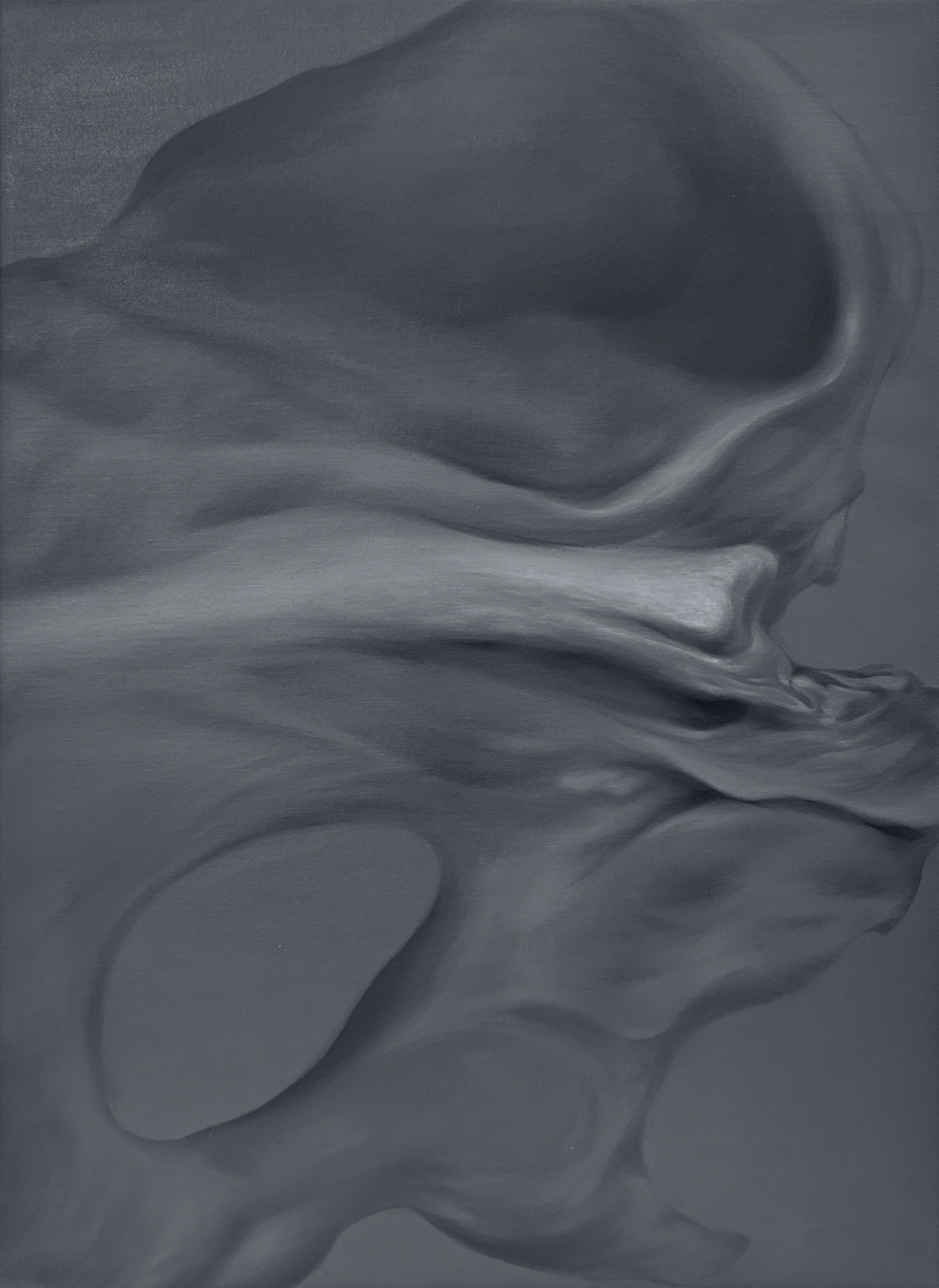 Bone 20, 72.7x53.0cm, oil on canvas, 2024