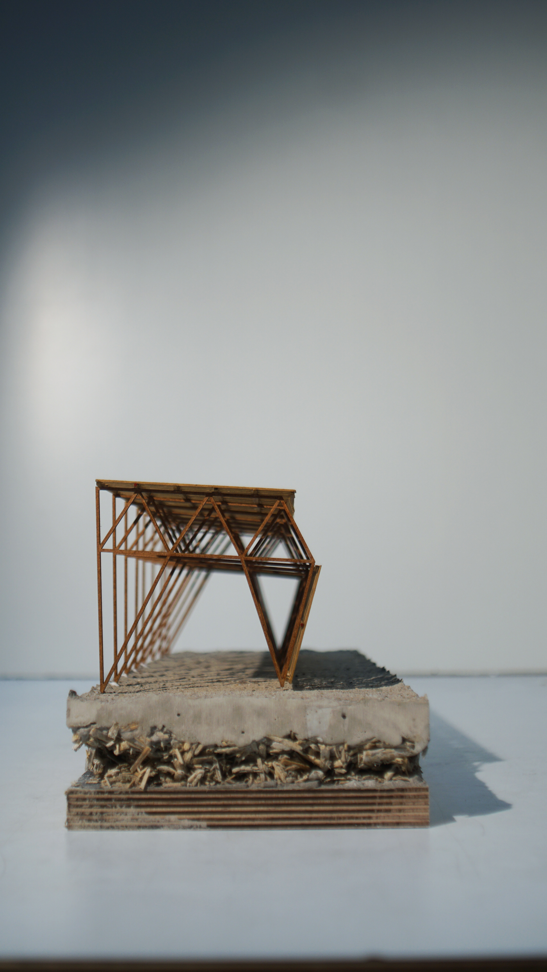 1:20 MODEL