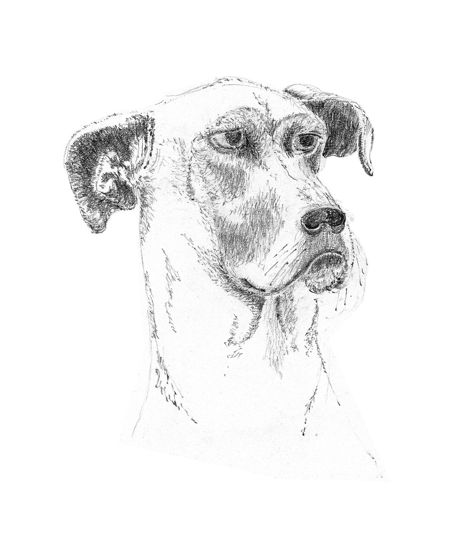 Tamahii Graphite on Strathmore (Not for Sale)