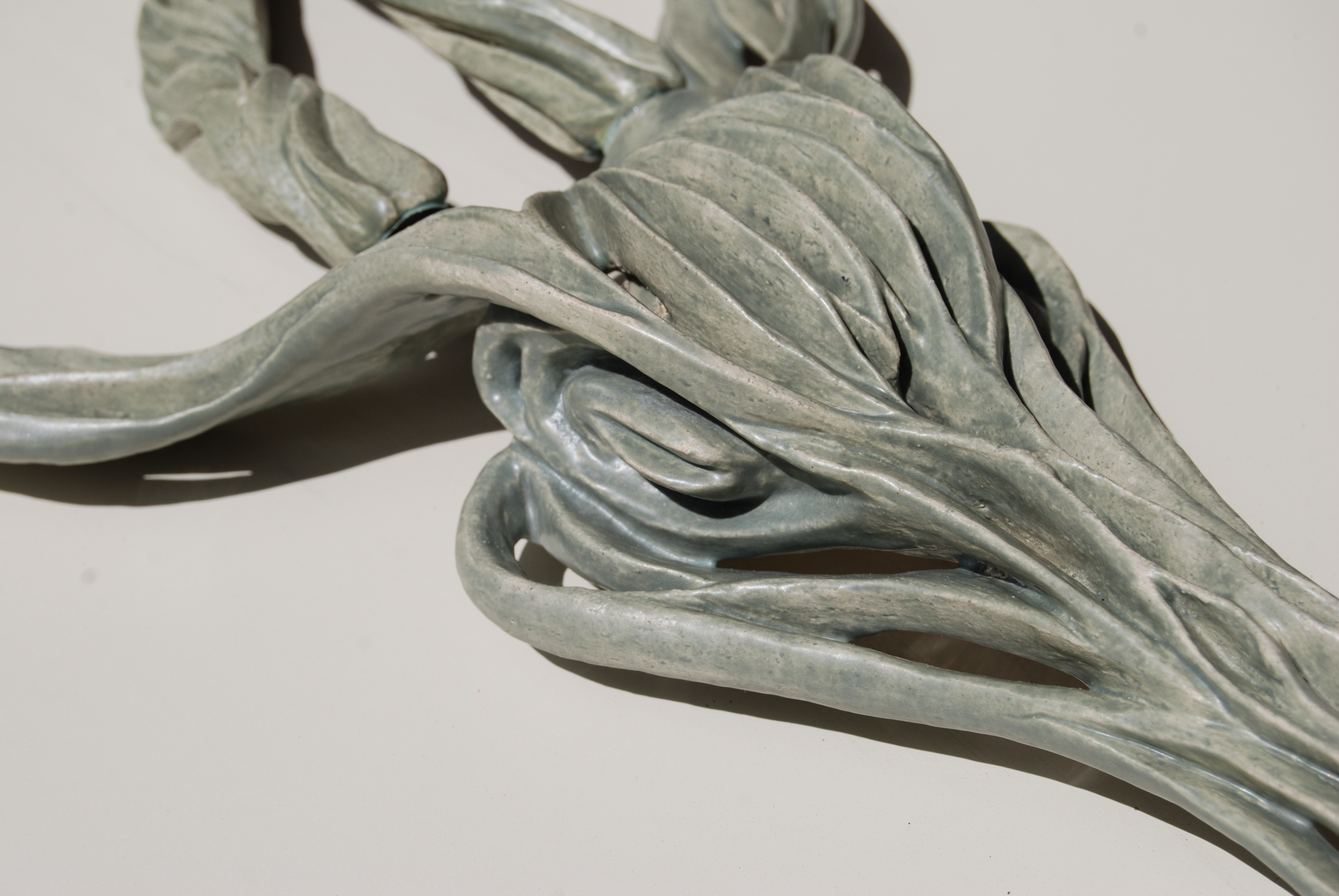 Bovidoublehelix (Private Collection)