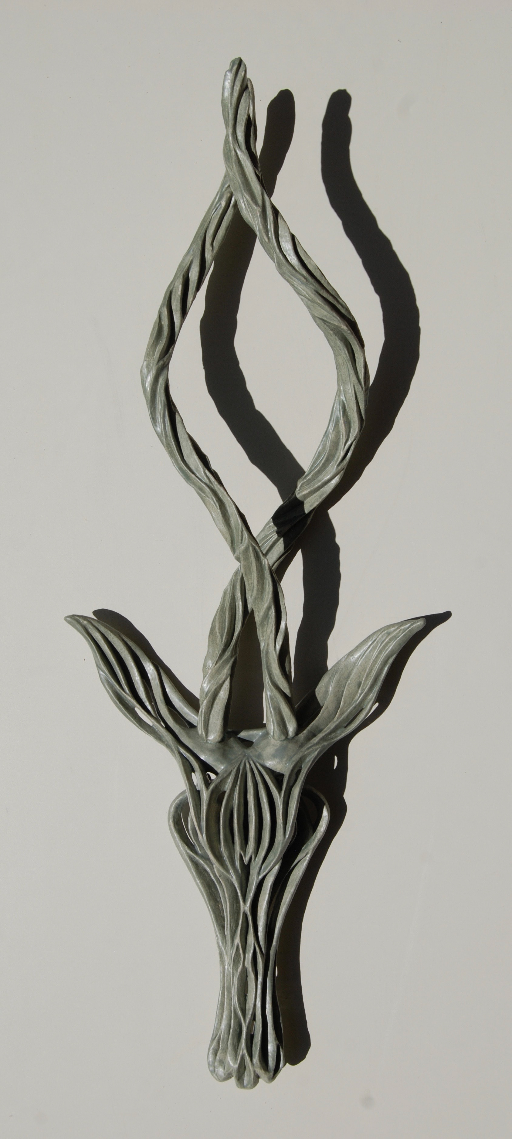 Bovidoublehelix (Private Collection)