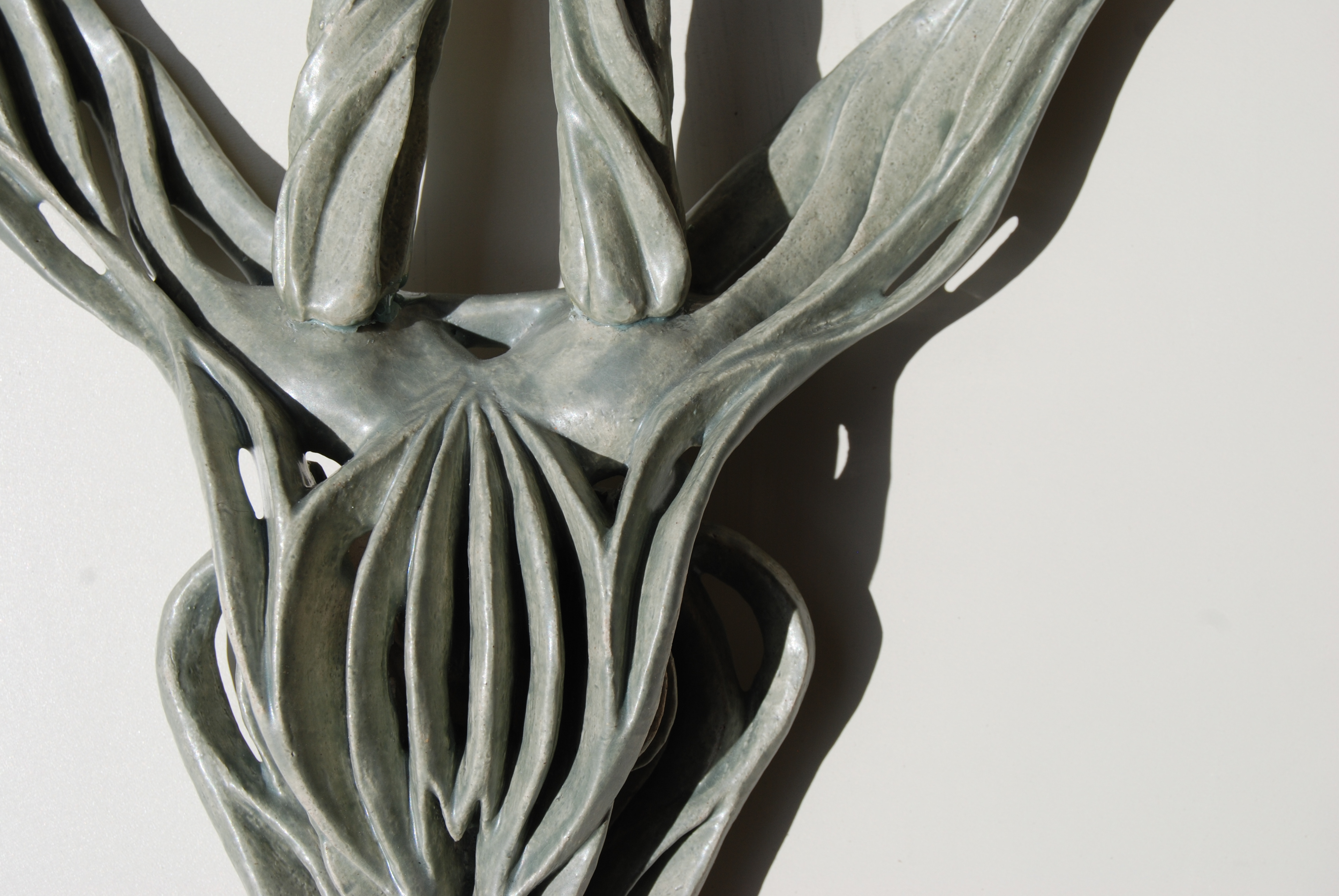 Bovidoublehelix (Private Collection)