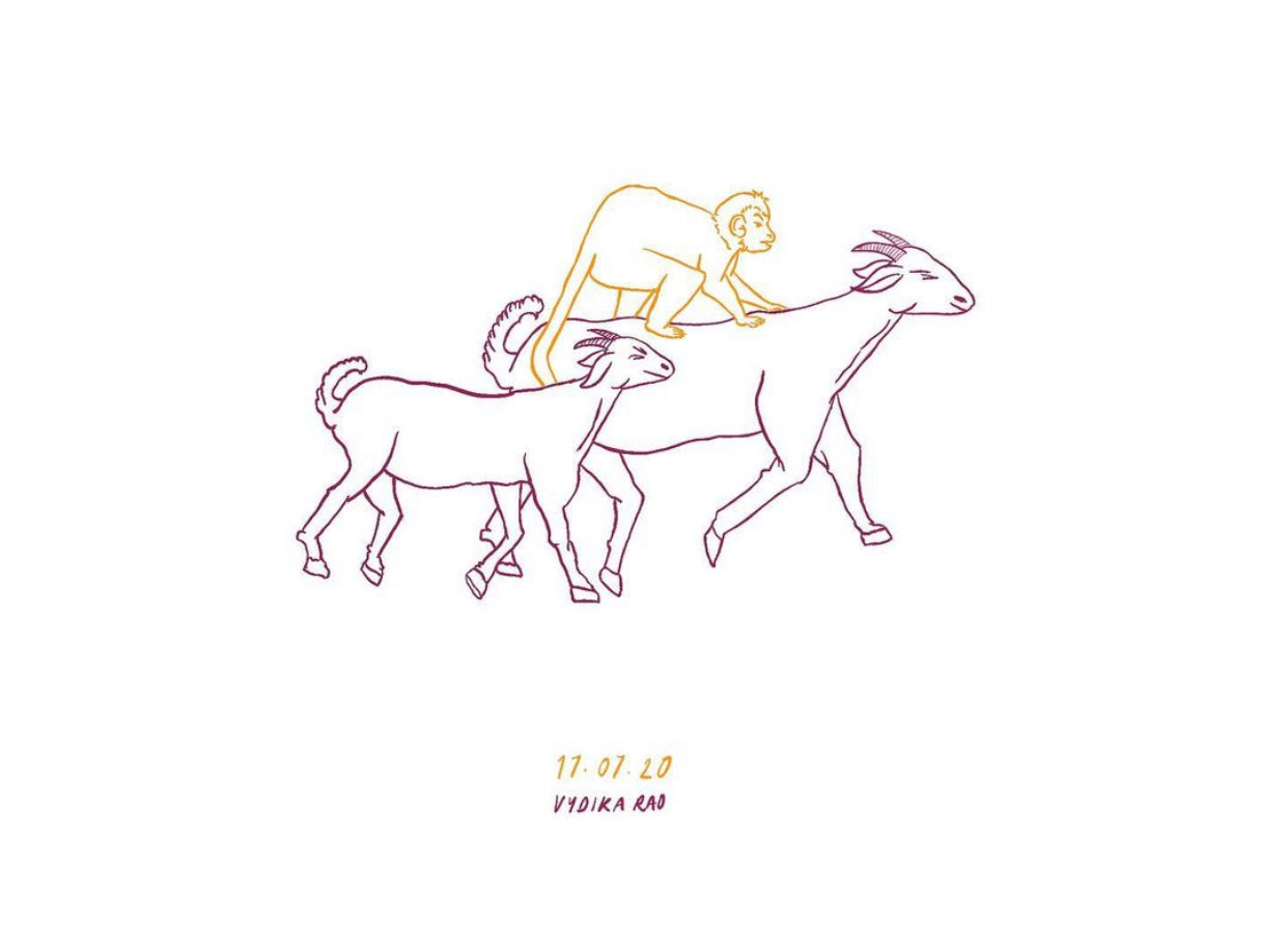 Everyday at around 4:30 pm, a monkey would sit on a goat and ride into this resort in Kerala with the rest of the herd. It was quite a sight!