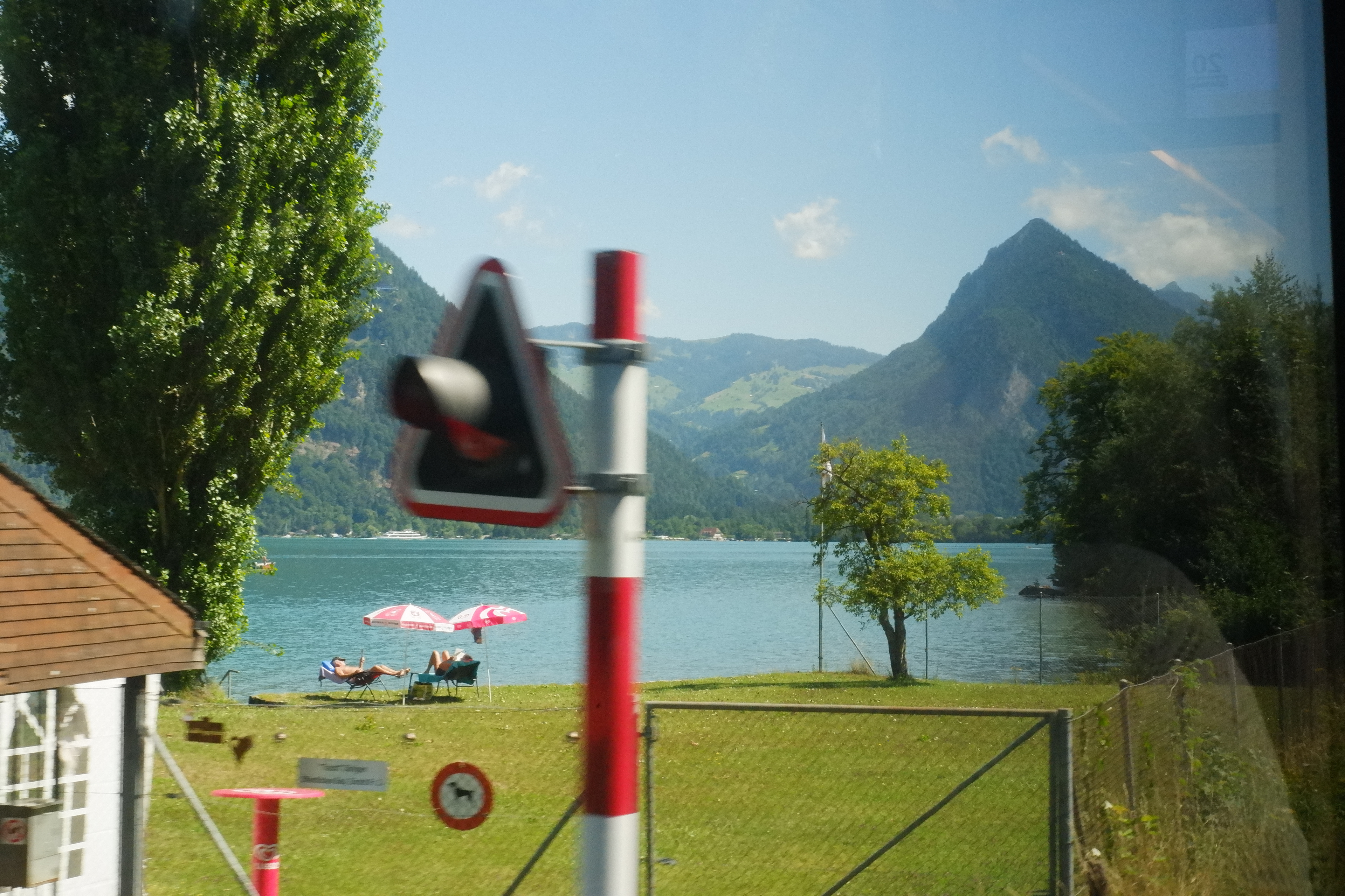 Train from the Swiss Alps