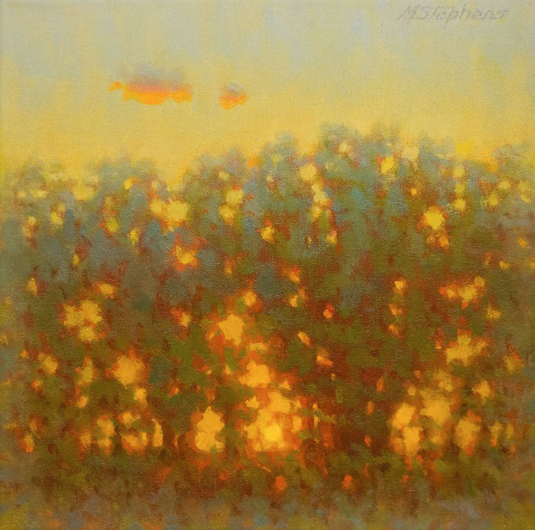 Tree Line Radiance   Oil   12" x 12"   SOLD