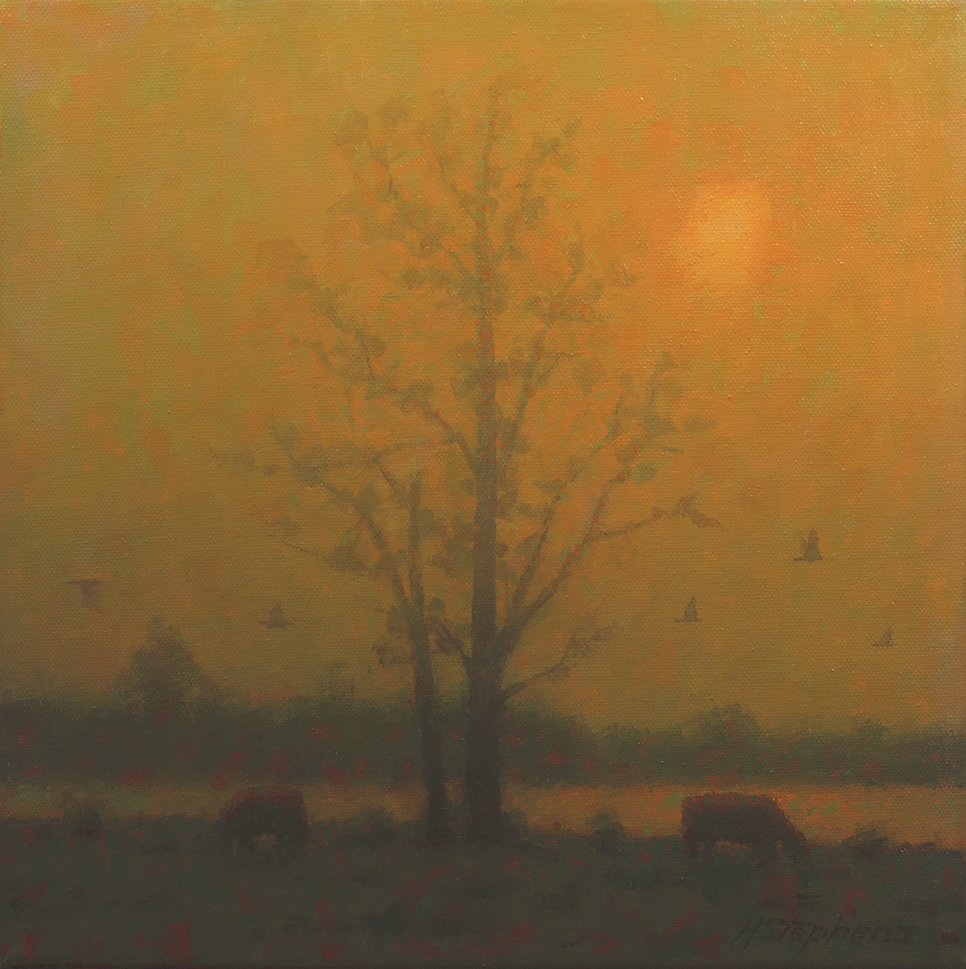 Hazy Morning Mist   Oil   12" x 12"