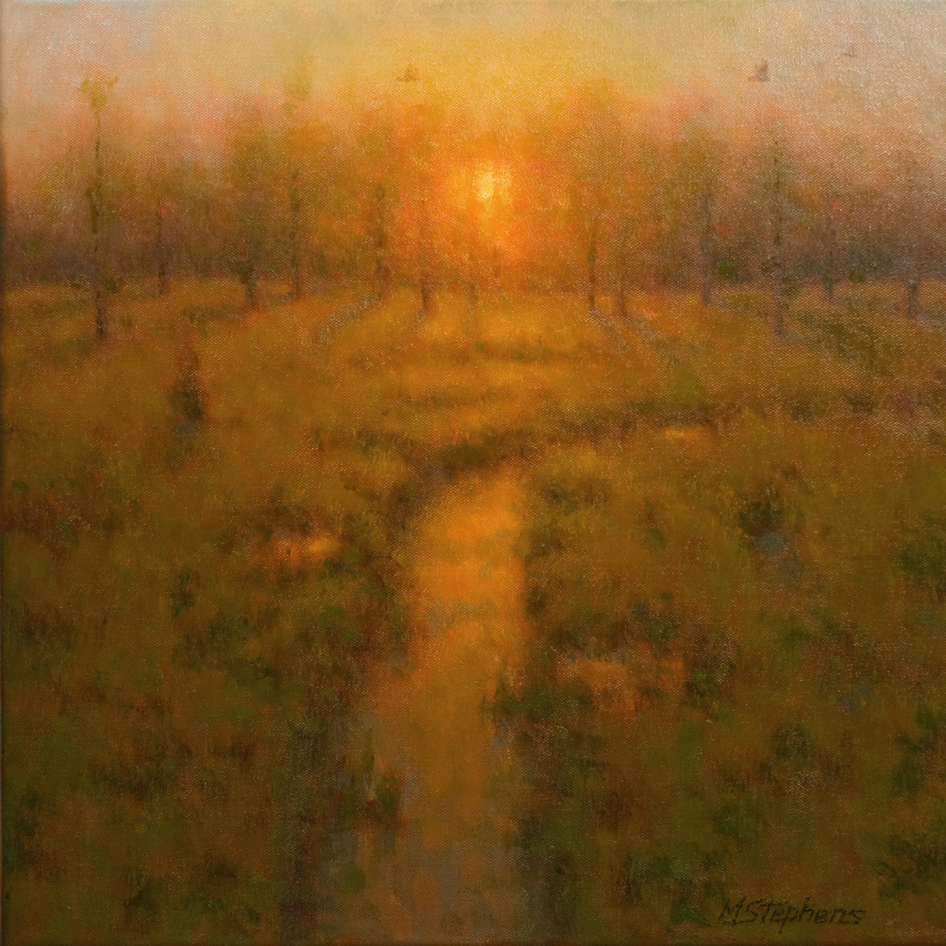 Morning Radiance   Oil   18"x 18"