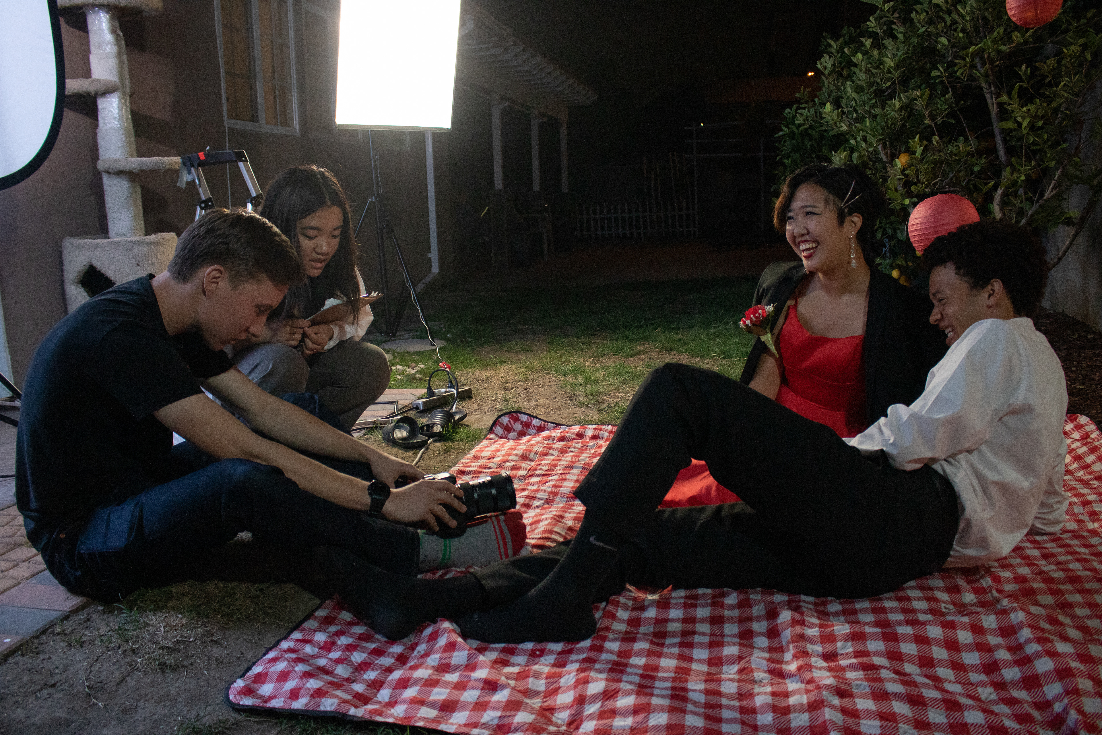 Picnic Scene
