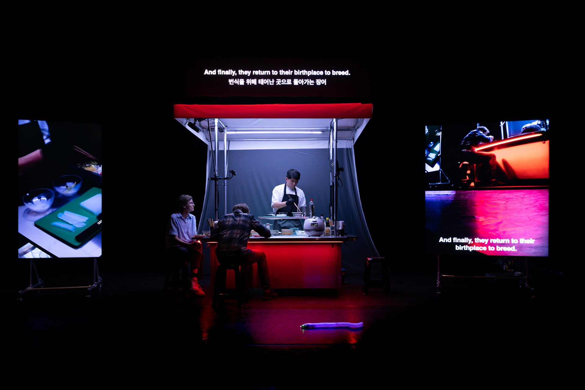 Photo: Bea Borgers​​​​