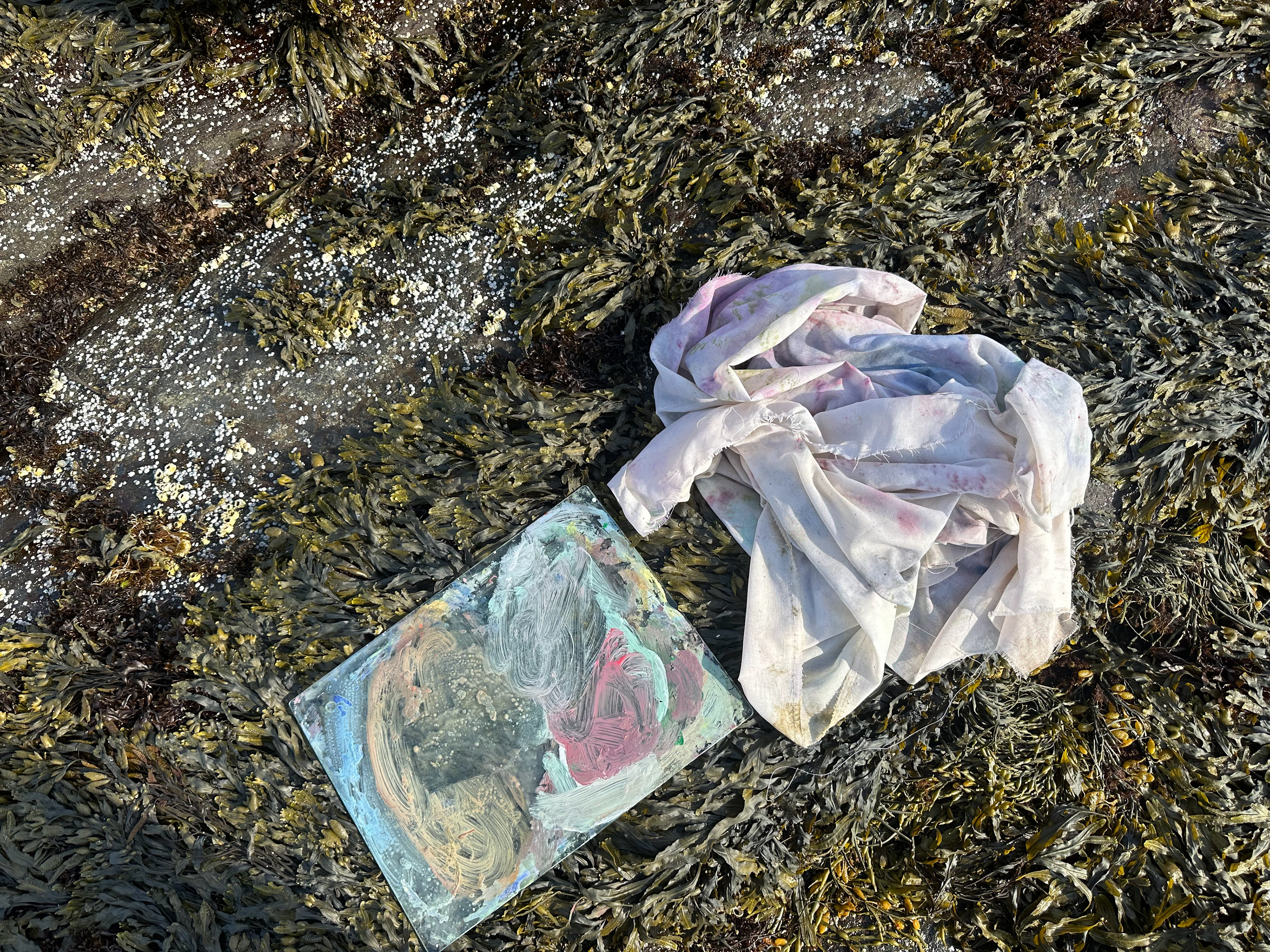 Monhegan, Lobster Cove