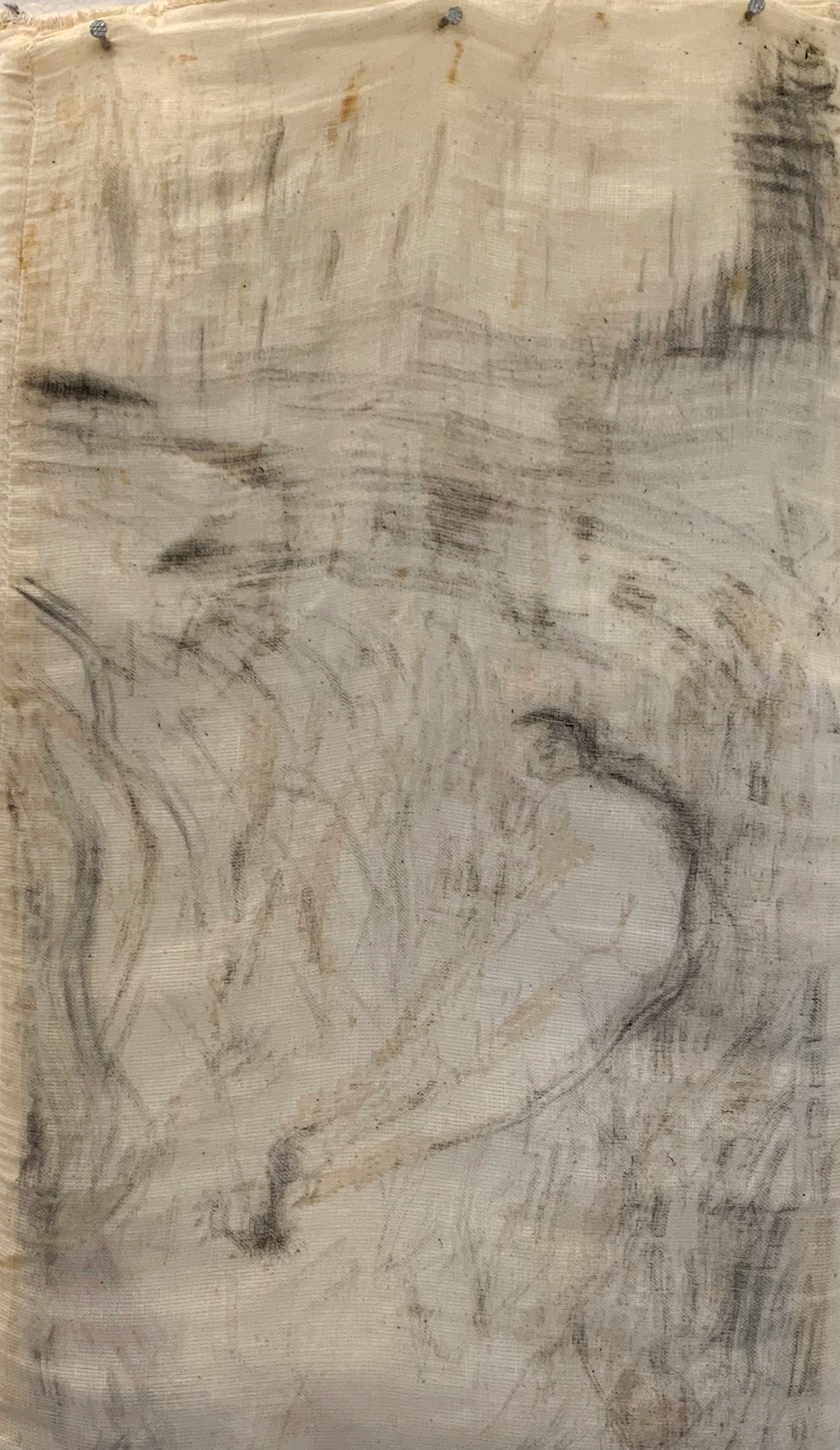 Jewell Island, Sumac And Charcoal On Cloth Pillow, 20"x10", 2019