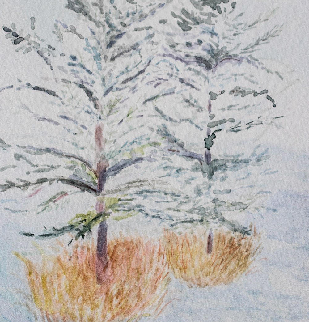 Twin Pines, Watercolor on Paper, 6"x8", 2021