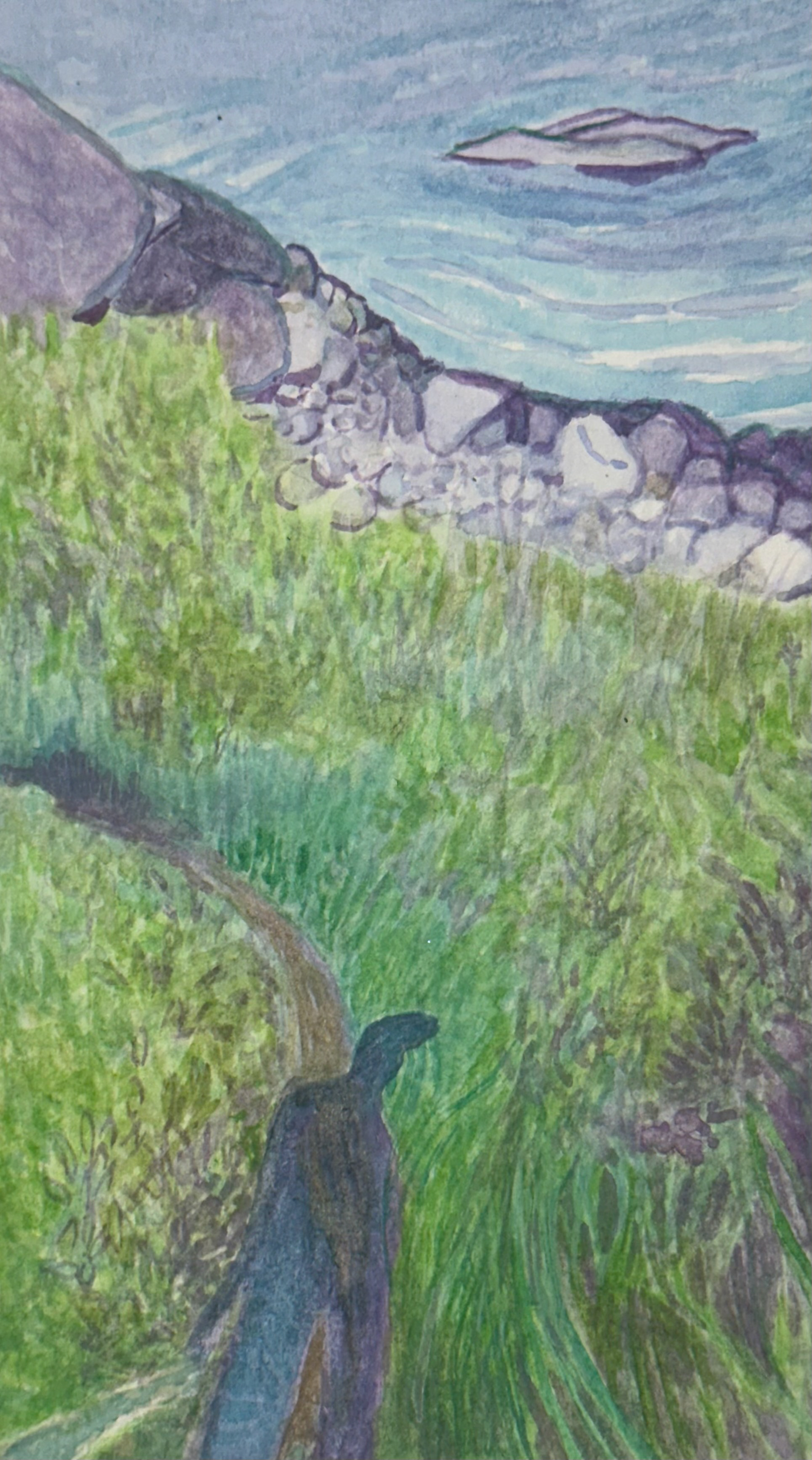 Pebble Beach and seal ledge, watercolor on paper, 2024