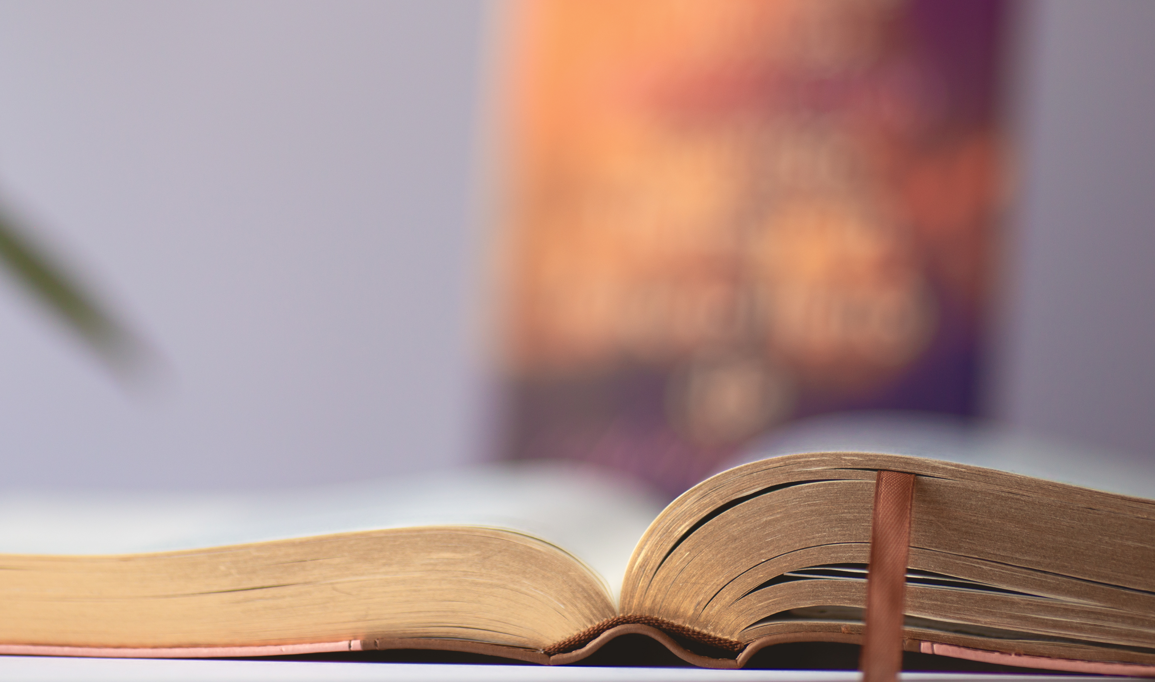 Thy word is a lamp unto my feet, and a light unto my path.