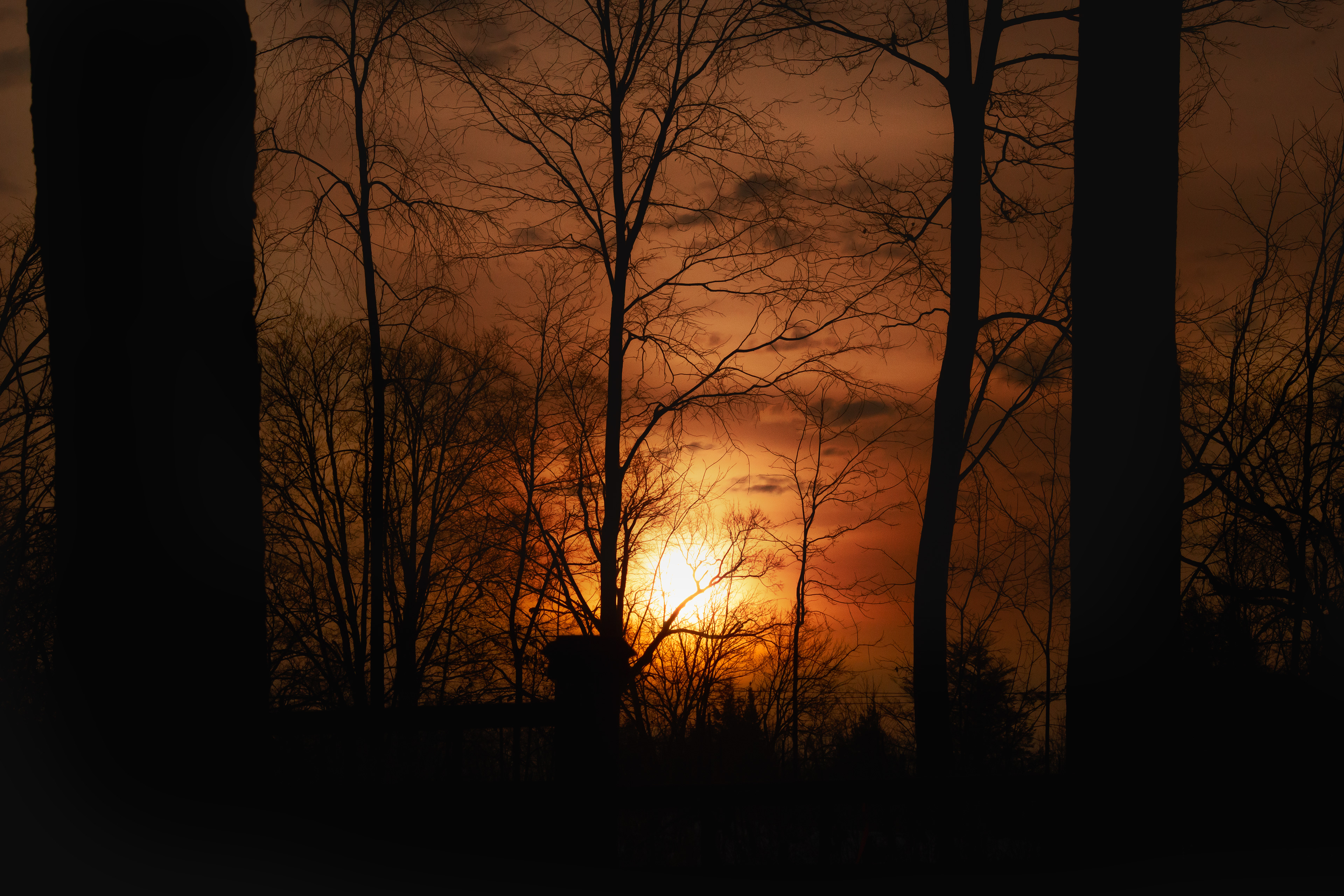 The steadfast love of the LORD never ceases; his mercies never come to an end; they are new every morning.
