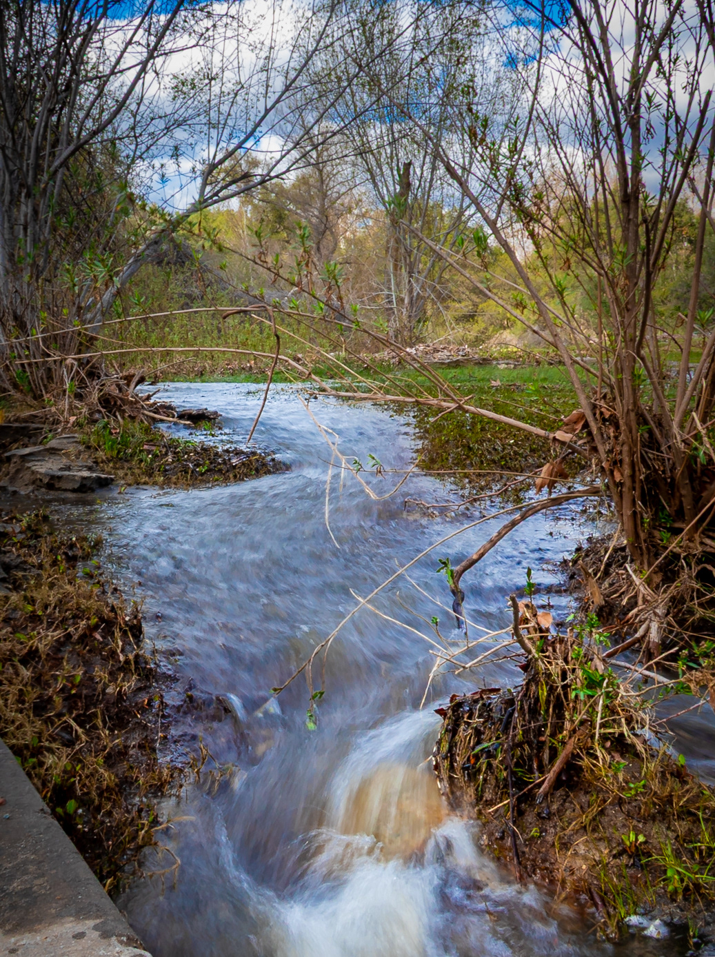 Santa Ysabel creek flooding after a rainstorm, usually dry throughout the year, after this rainstorm it had water flowing through it from Jan - early July 2023.