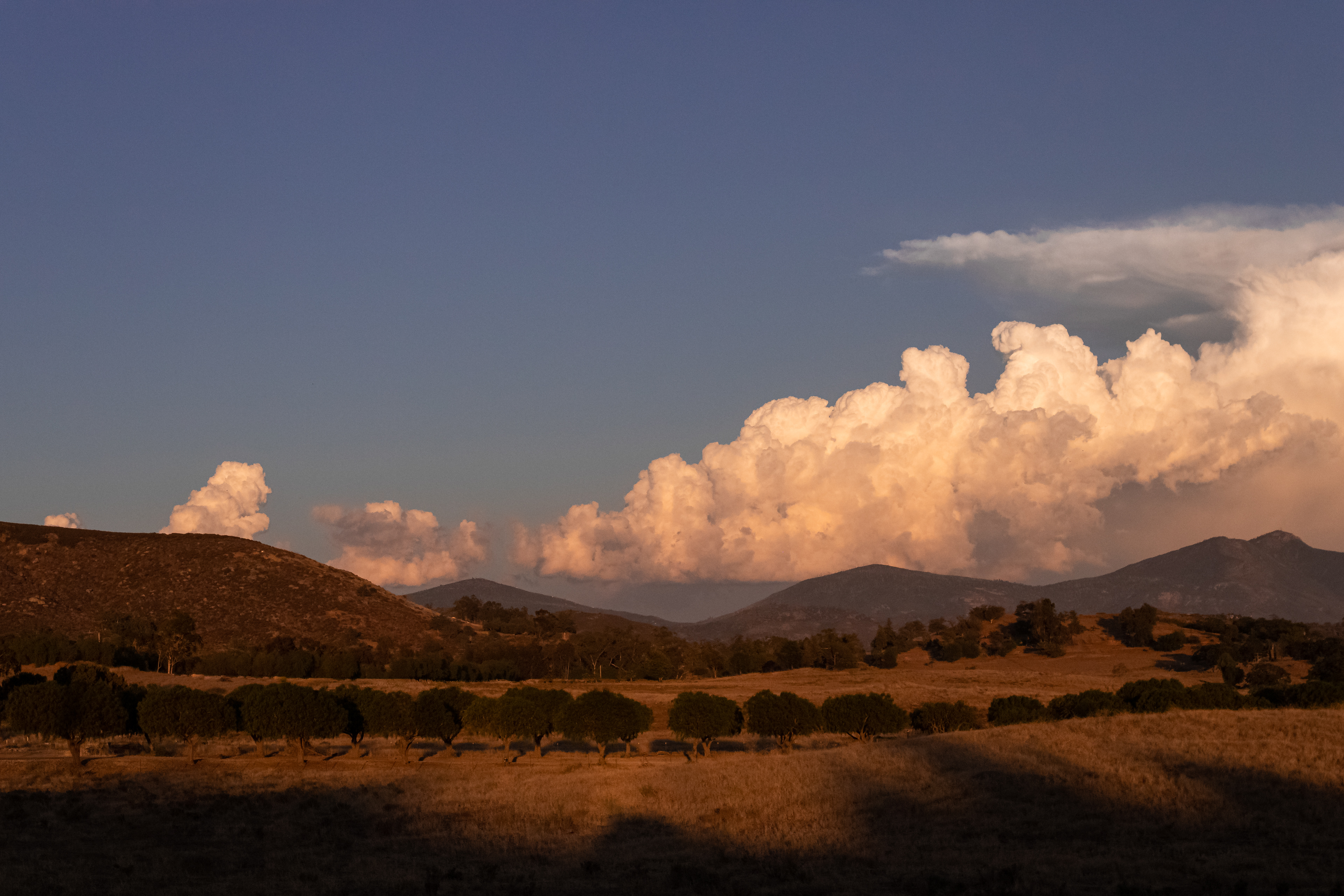 Thunderheads near Julian, CA