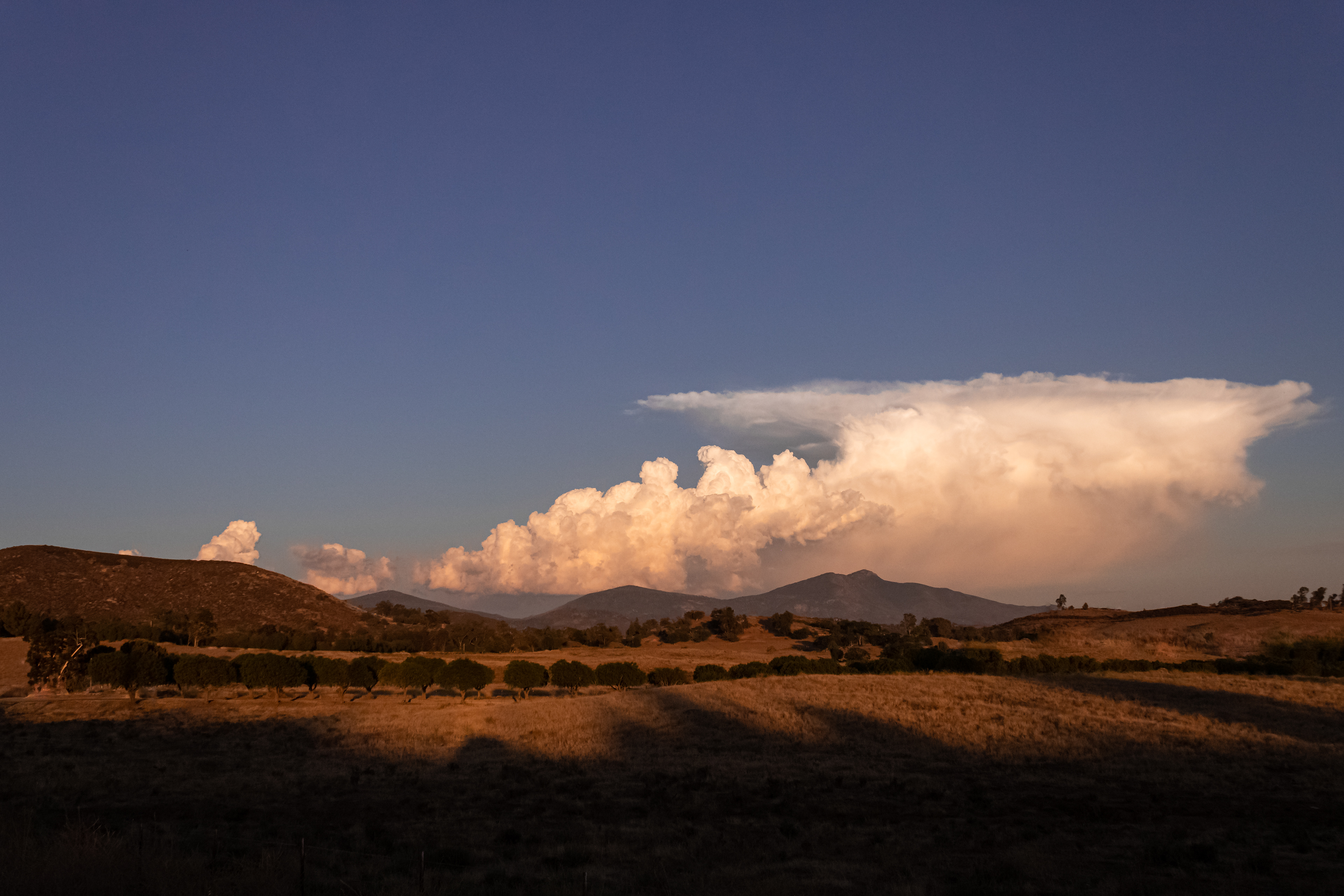 Thunderheads near Julian, CA