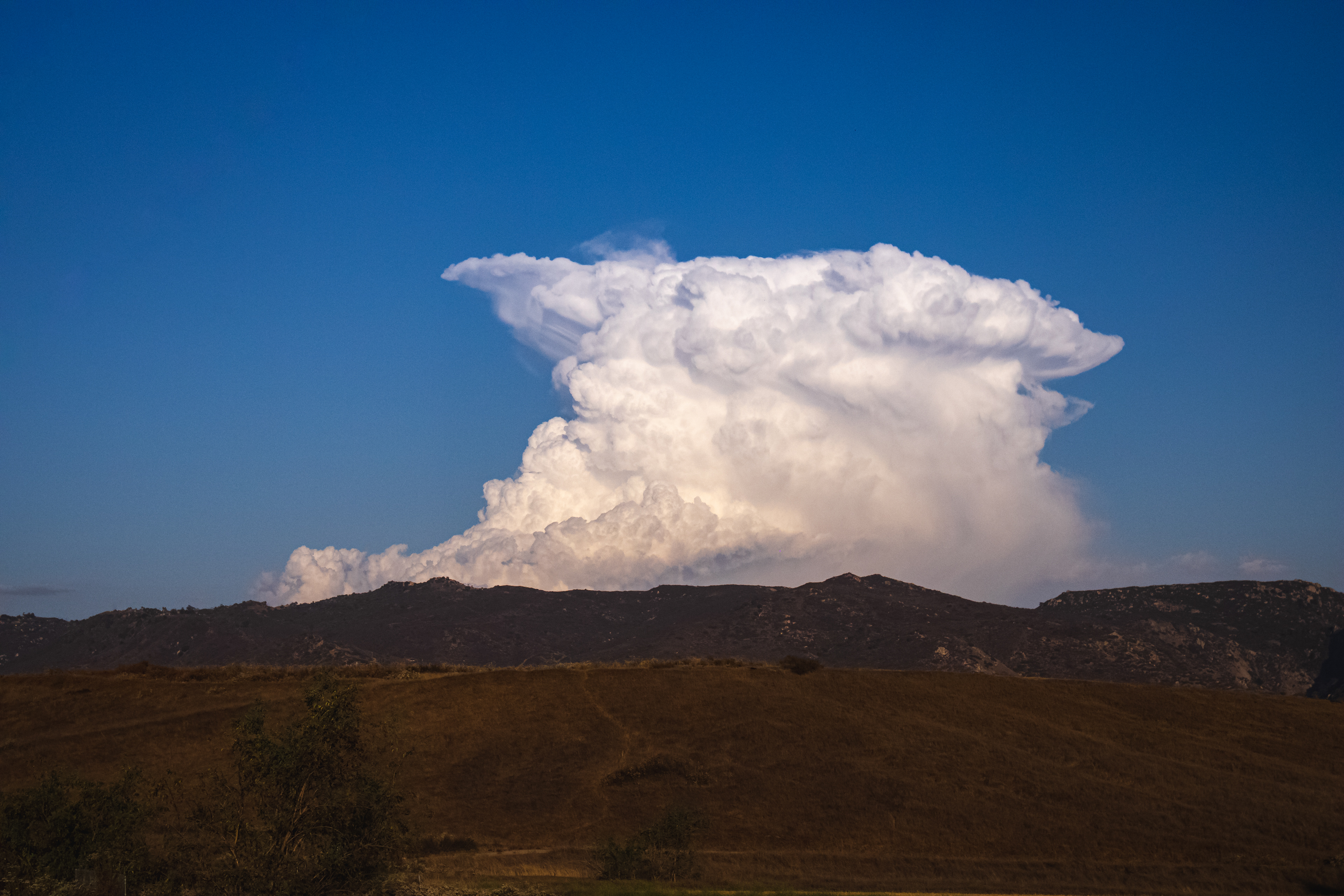 Thunderheads near Julian, CA