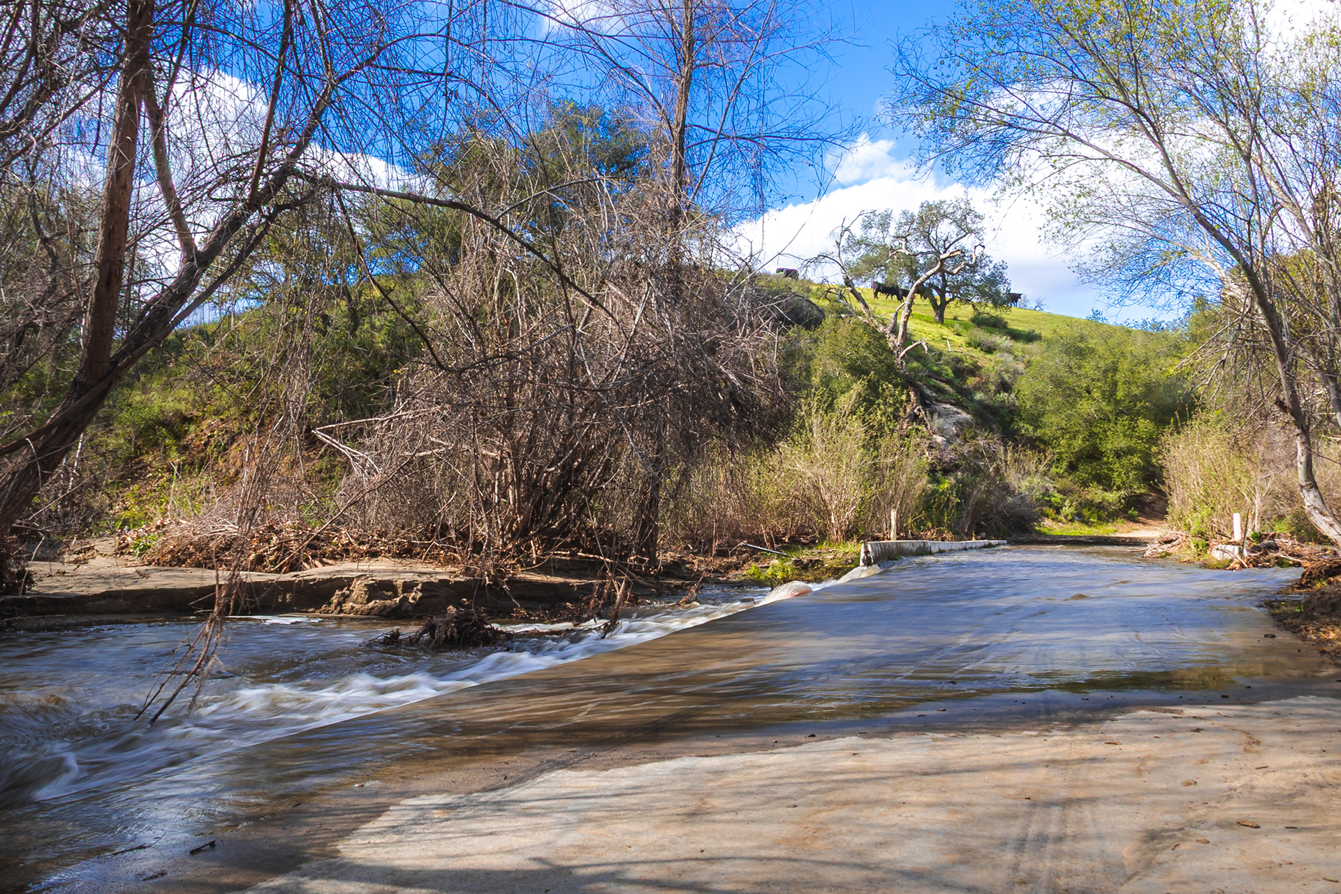 Santa Ysabel creek flooding after a rainstorm, usually dry throughout the year, after this rainstorm it had water flowing through it from Jan - early July 2023.