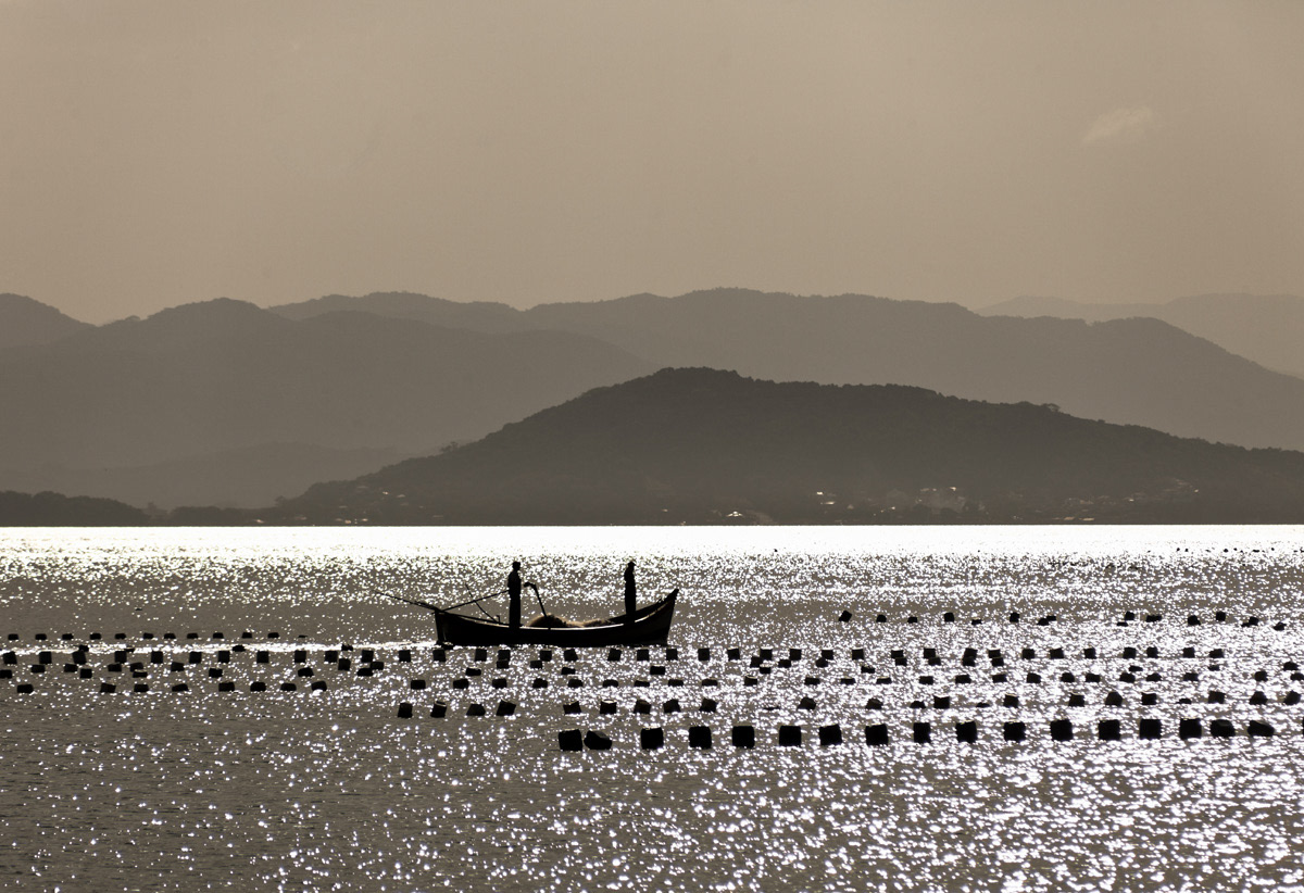 Maricultura no Ribeirão da Ilha
