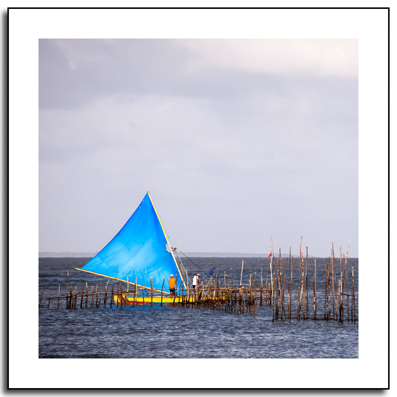 Pescadores na Ilha de Algodoal Pará