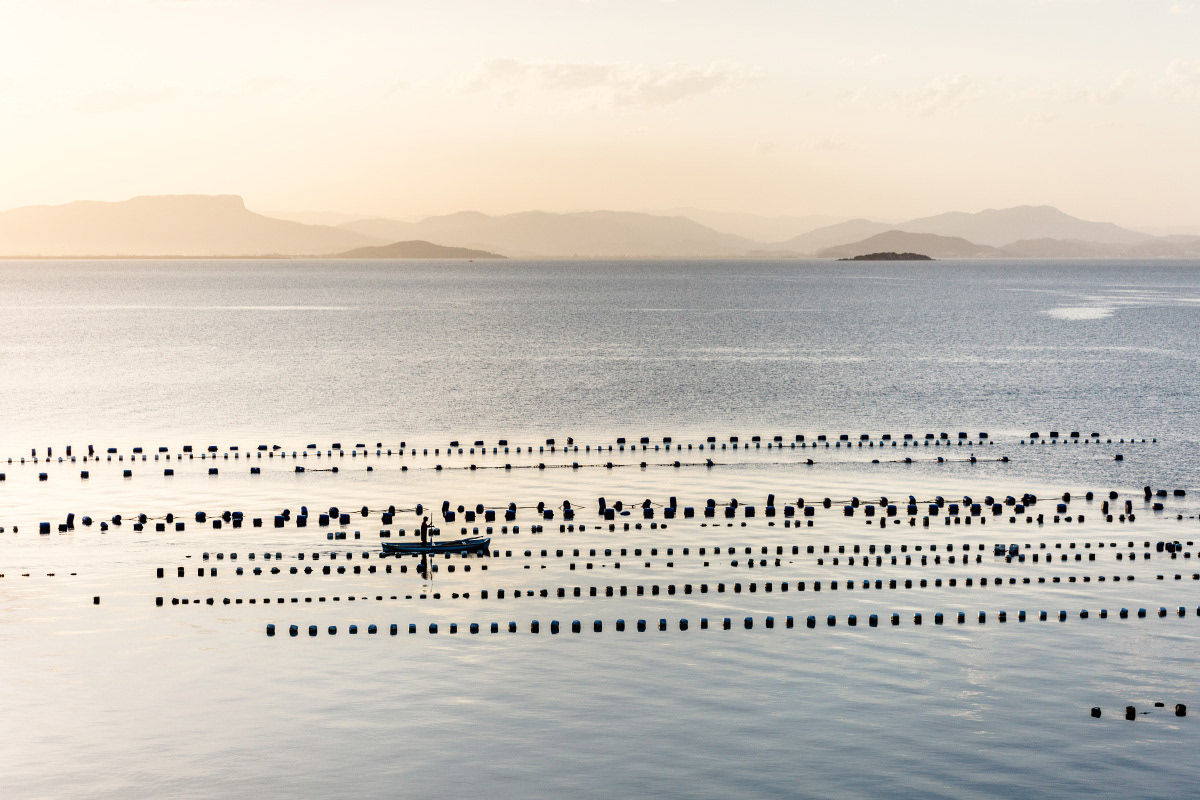 Maricultura no Ribeirão da Ilha