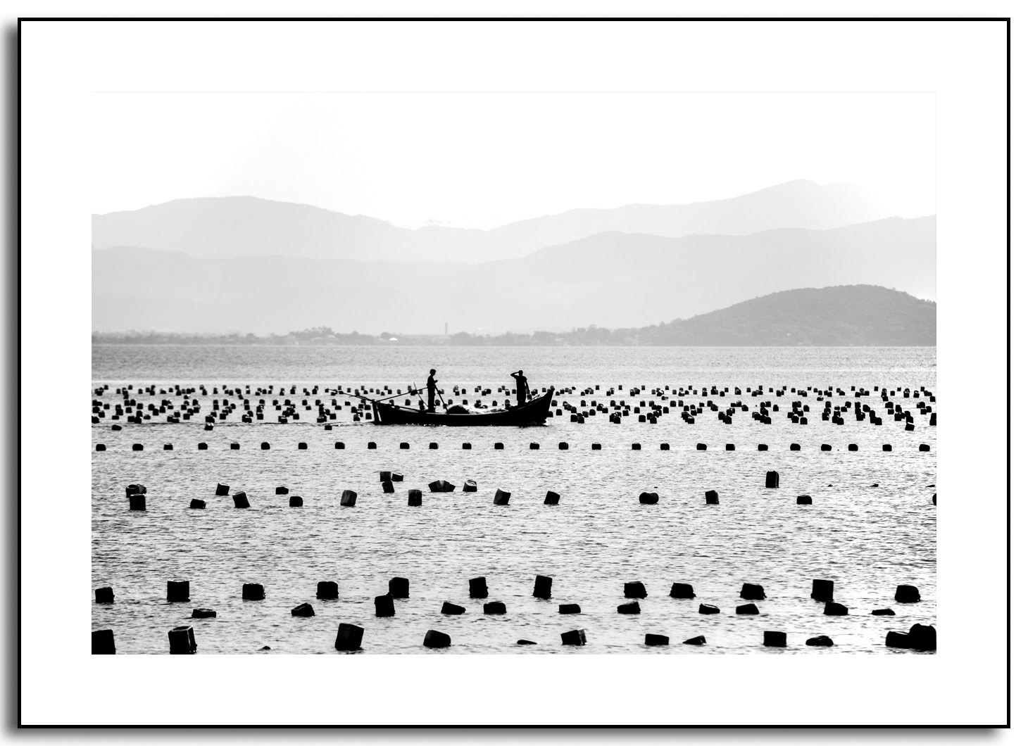 Maricultura no Ribeirão da Ilha