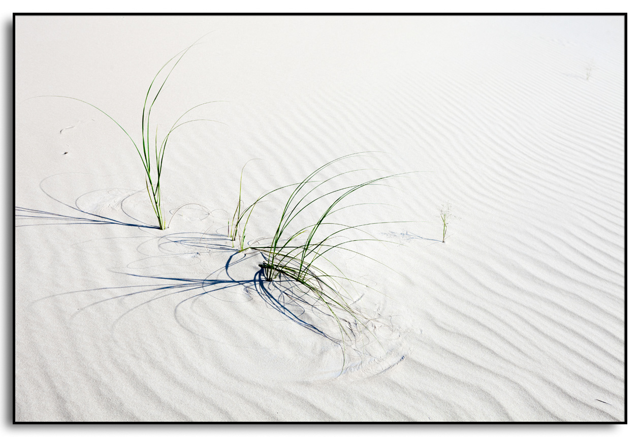 série dunas da joaquina 2940