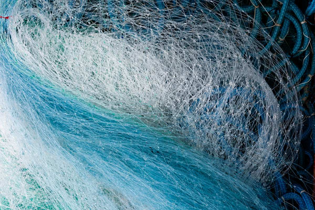Rede de Pesca
