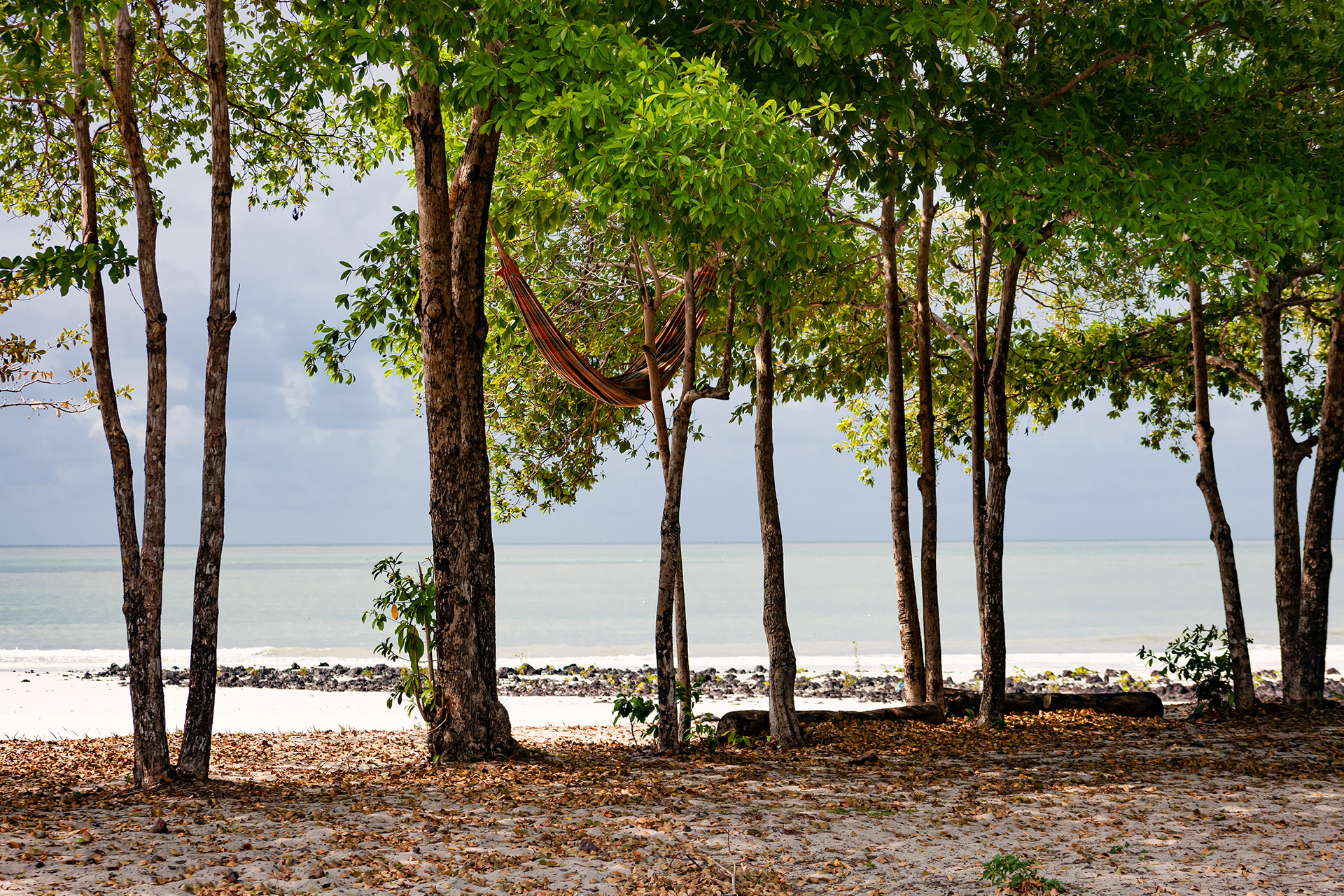 Ilha de Algodoal - PA