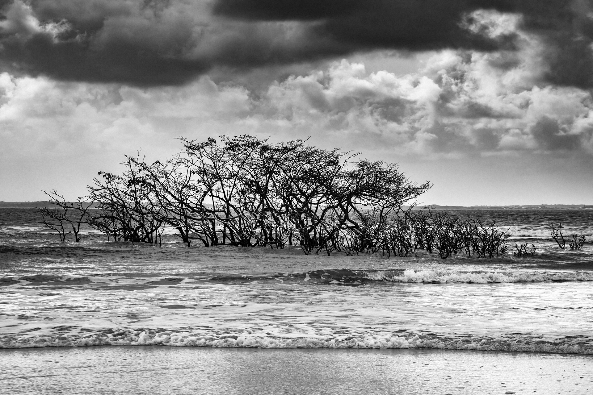 Ilha de Algodoal - PA