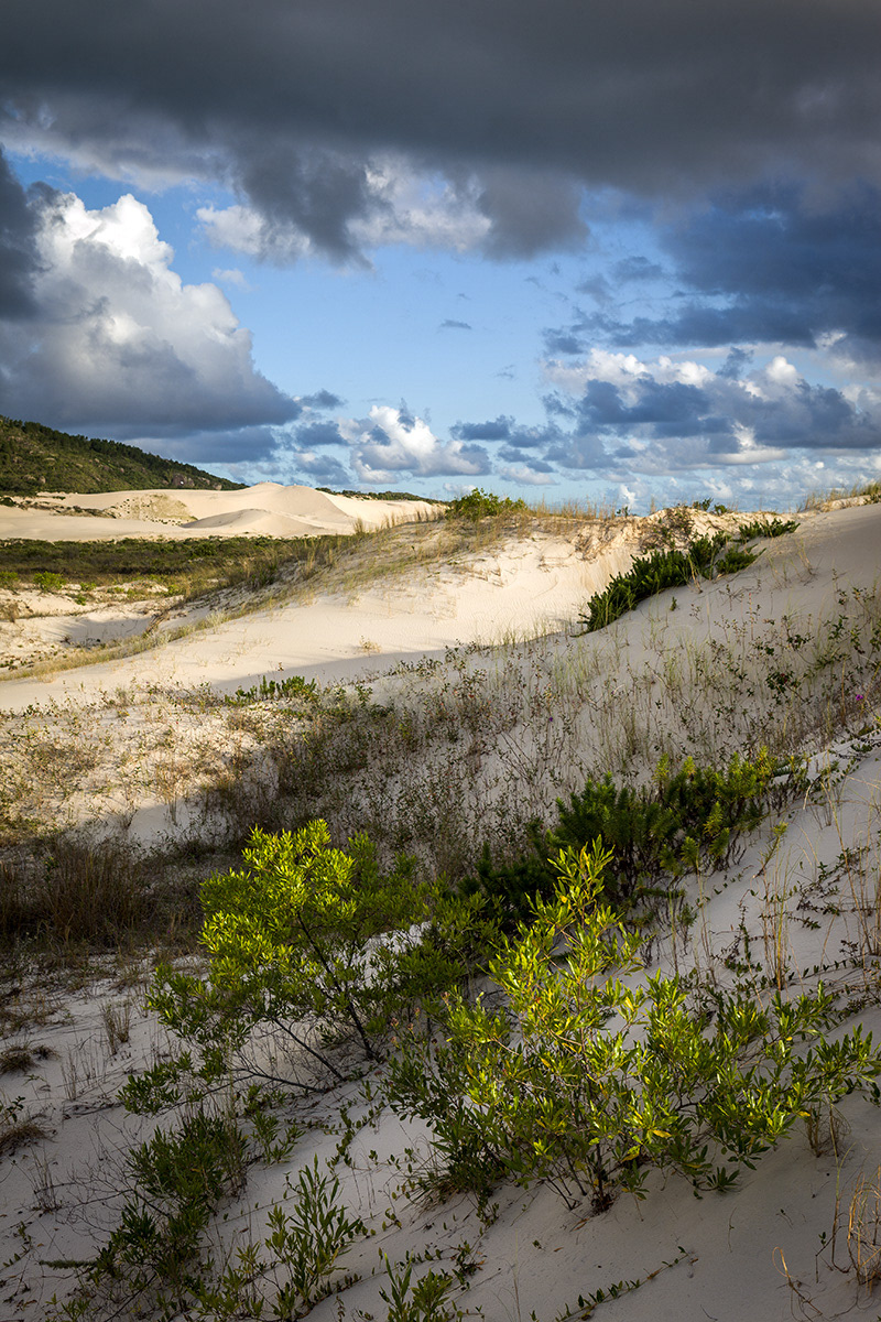 série dunas da joaquina