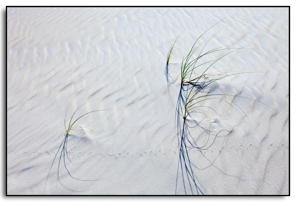 série dunas da joaquina 2935