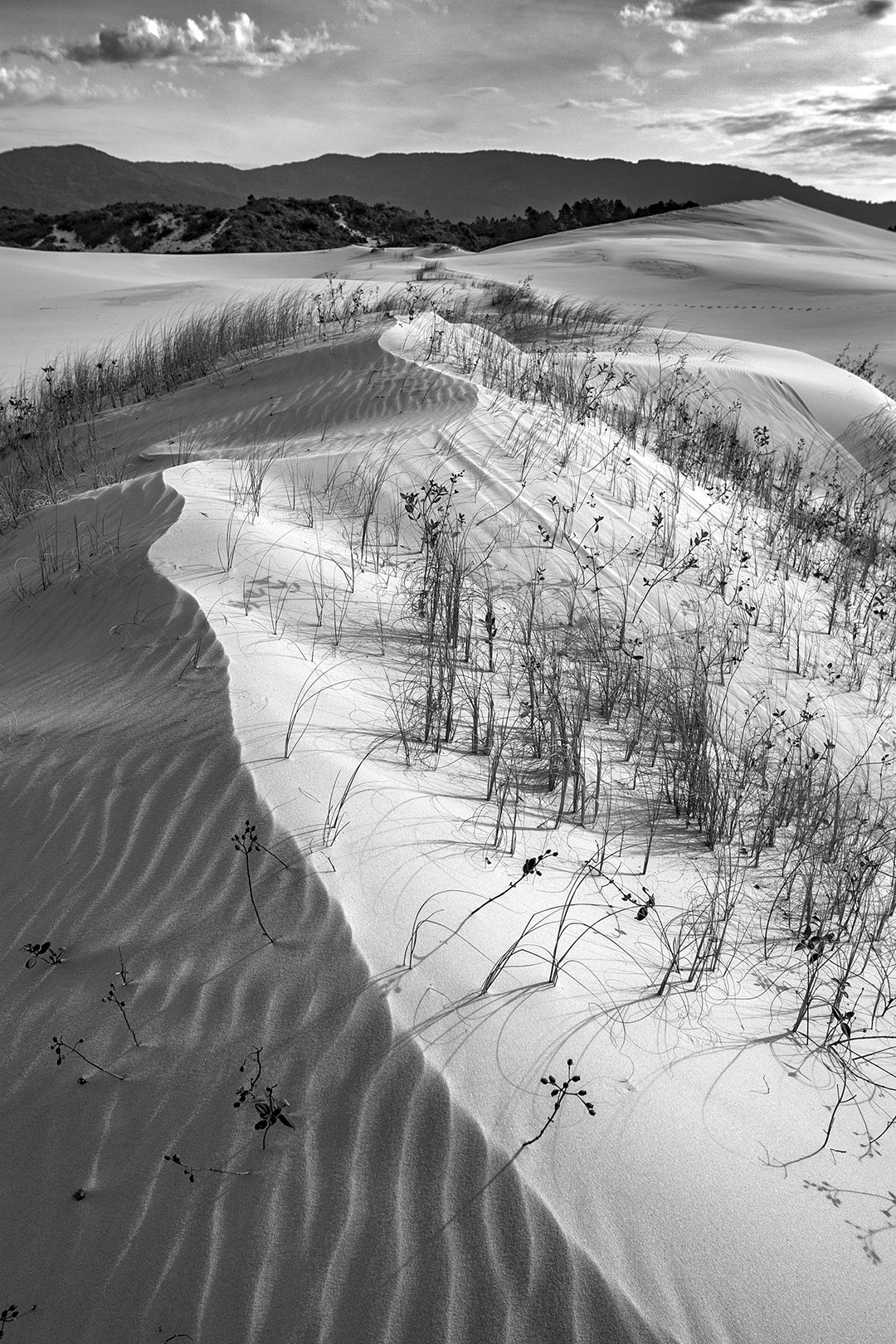 série dunas da joaquina